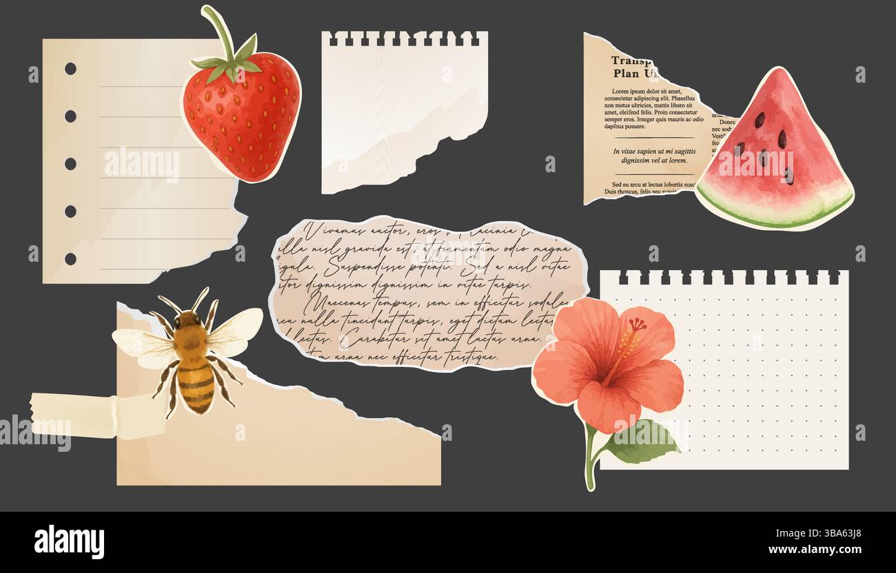 Adesivi di carta vintage con texture di fragole, anguria, api, ibisco e carta strappata per un design creativo o da album. Illustrazione Vettoriale