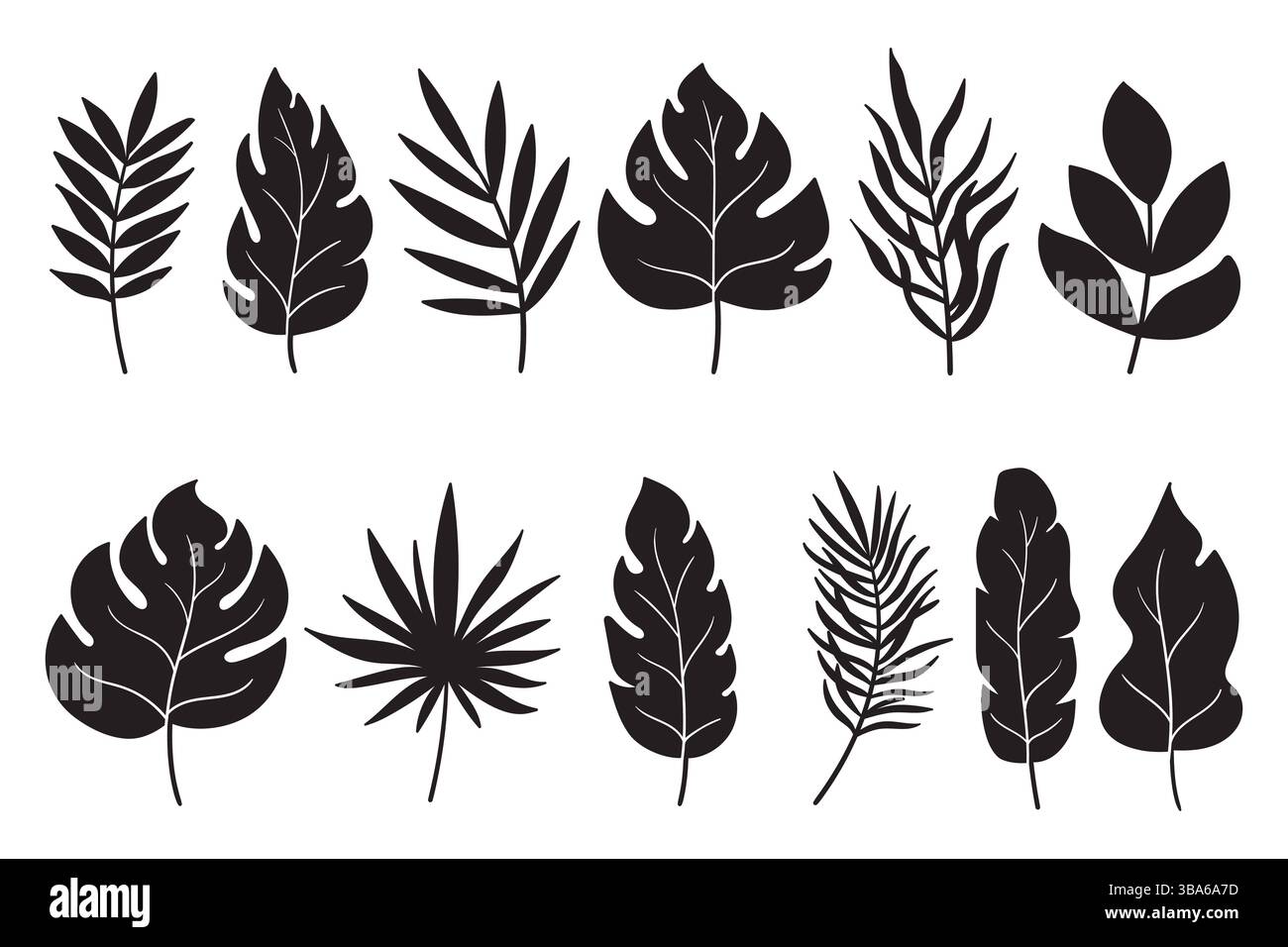 Silhouette in foglie tropicali nere isolate su sfondo bianco per poster, stampe, inviti, copertine. Silhouette ornamentali con foglie esotiche Illustrazione Vettoriale