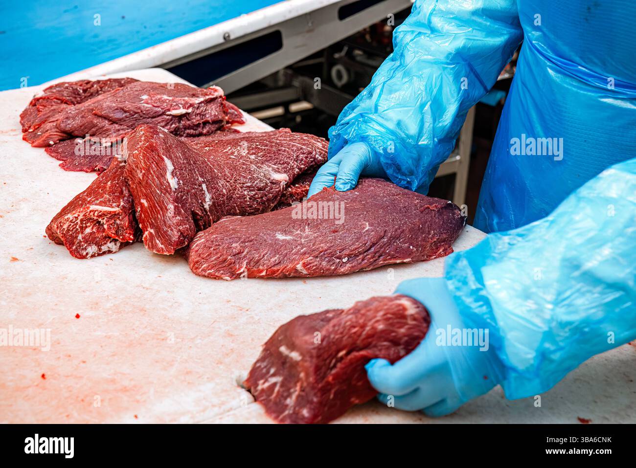 Lavori nei macelli: Operatore di trasformazione delle carni, macellaio professionale in un macello industriale. Macellazione e condimento della carcassa. Maneggiare la carne dopo Foto Stock