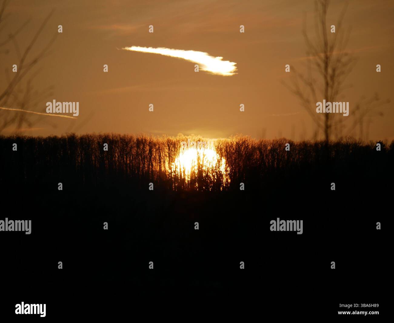 Vista di un tramonto con un orizzonte boscoso, il sole sparisce dietro i rami, getta raggi rossi attraverso gli alberi e crea una splendida scena. Foto Stock
