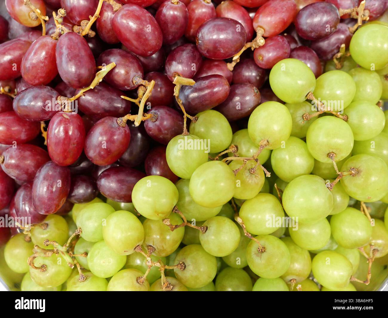 Uva verde e blu fresca come snack sani, ricchi di vitamine e sostanze nutritive, perfetti per uno spuntino rinfrescante e naturale tra i pasti. Foto Stock