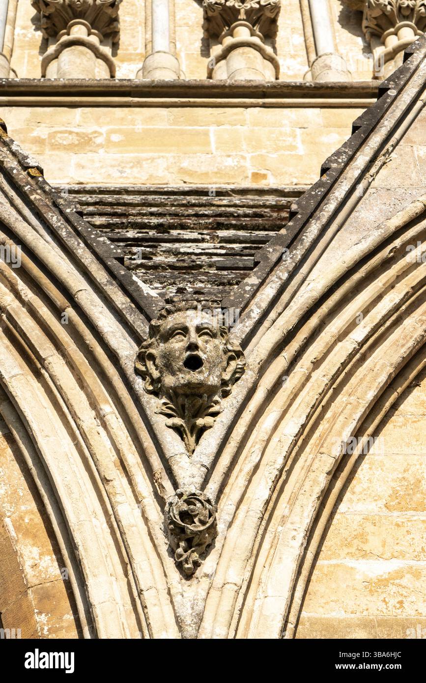 Gargoyle sulla Cattedrale di Salisbury Foto Stock