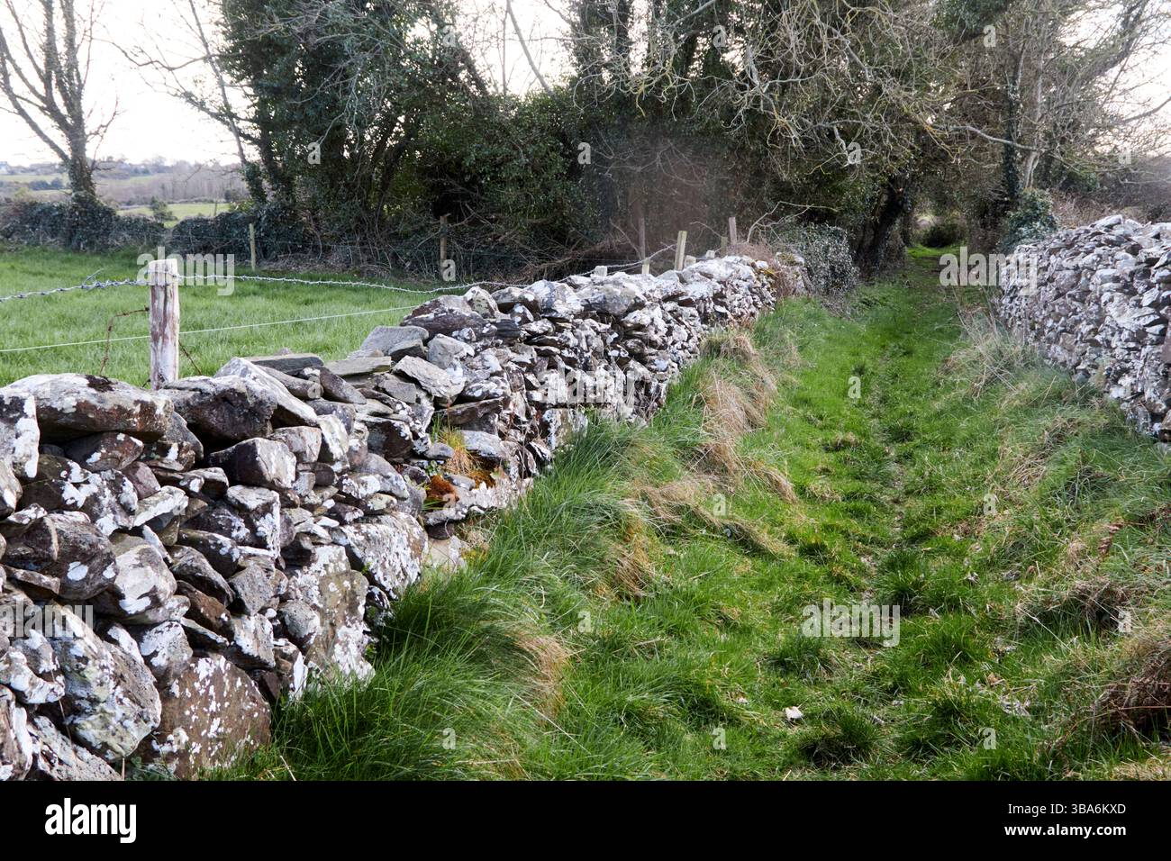 vecchia strada storica irlandese troppo coltivata nella contea dell'irlanda settentrionale nel regno unito Foto Stock