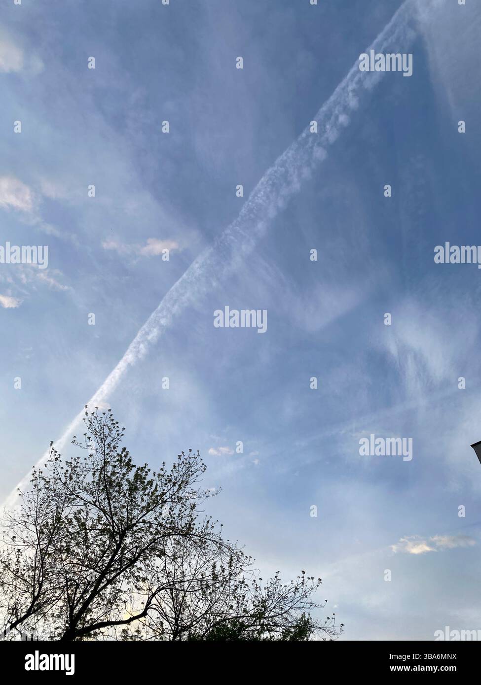 Cremona, Italia - 5 aprile 2025 Un cielo dipinto con Vapor Trails sopra gli alberi Una tela di Whispers alta sopra la Terra dove le nuvole ballano con il sole Foto Stock