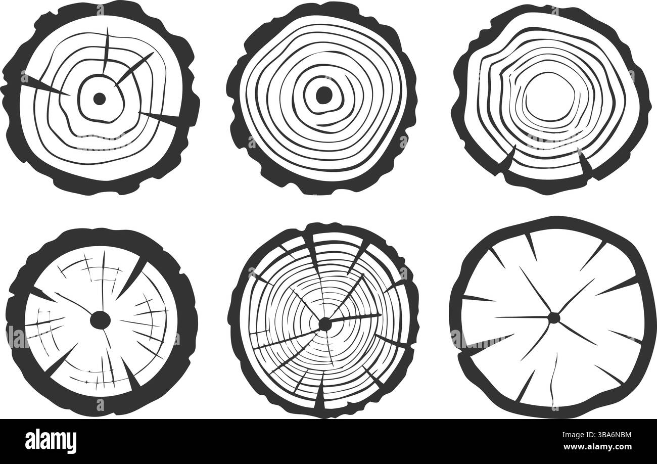 Un'intricata silhouette vettoriale in bianco e nero di un cespuglio senza fronzoli, caratterizzata da dettagliati motivi ramificati. Perfetto per l'arte botanica, l'incisione di referen Illustrazione Vettoriale