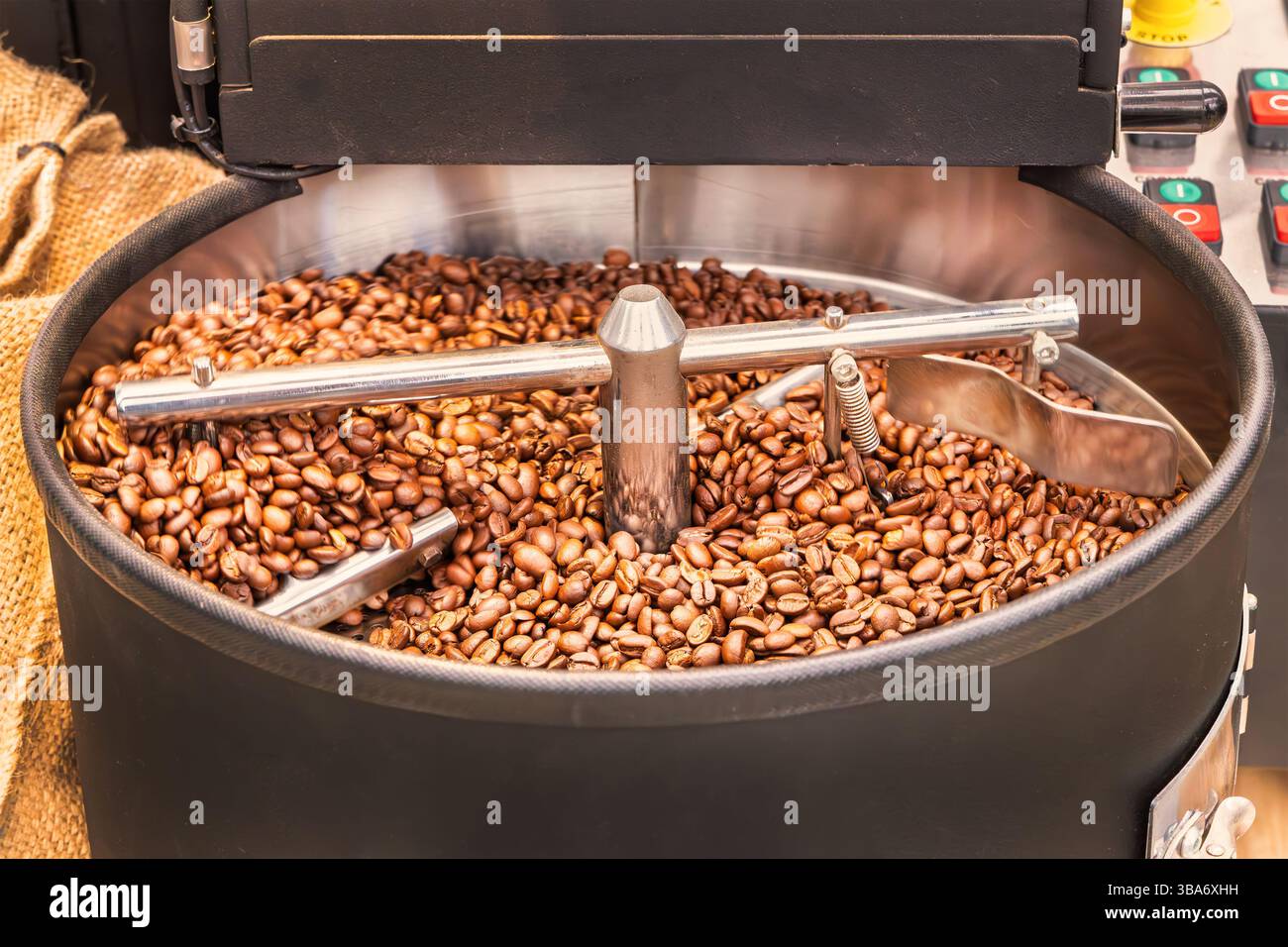 Macinatura di chicchi di caffè freschi in una macchina per caffè professionale Foto Stock