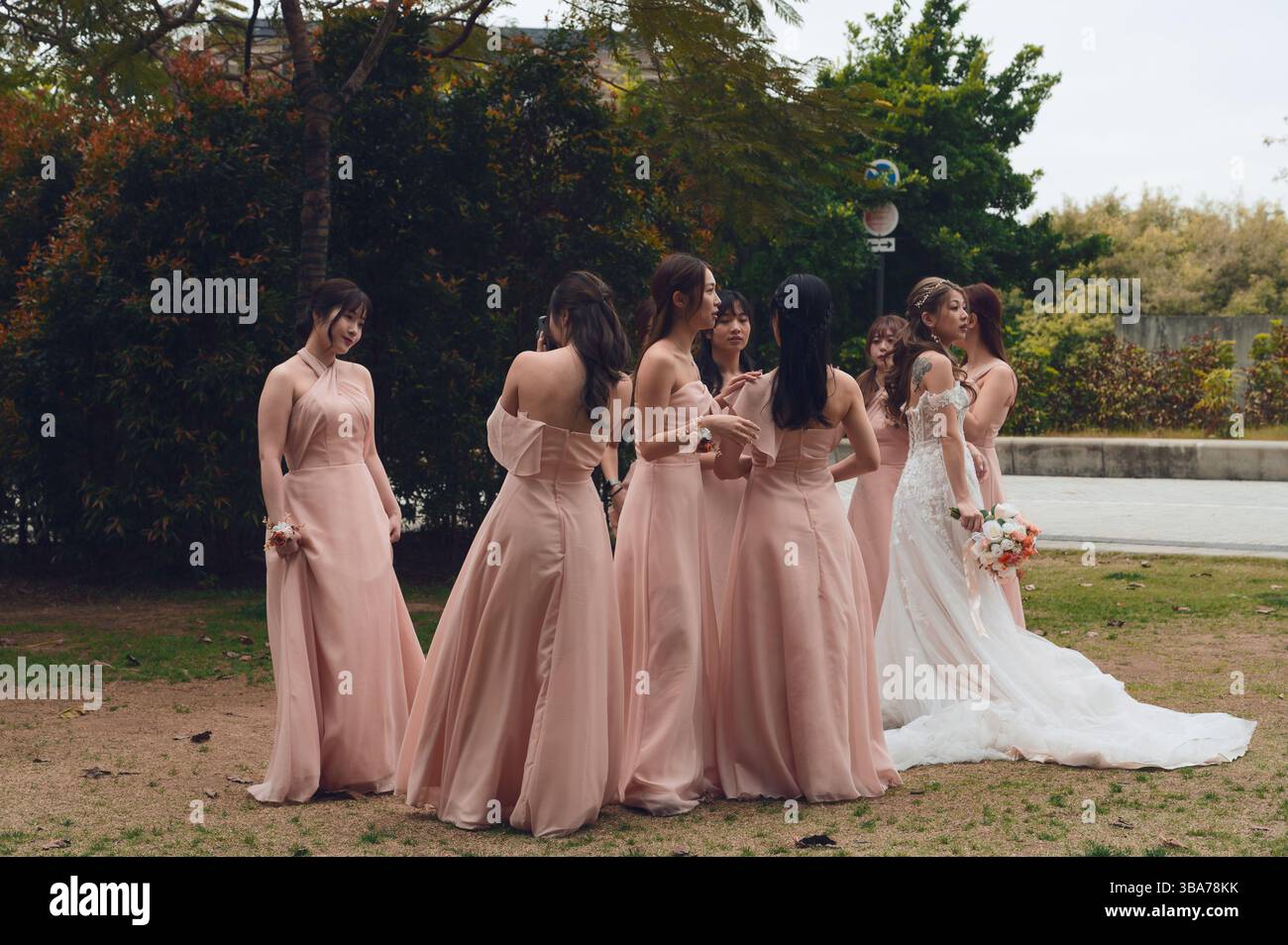 Le damigelle d'onore con abiti rosa tenui si riuniscono intorno a una sposa nel West Kowloon Art Park Foto Stock