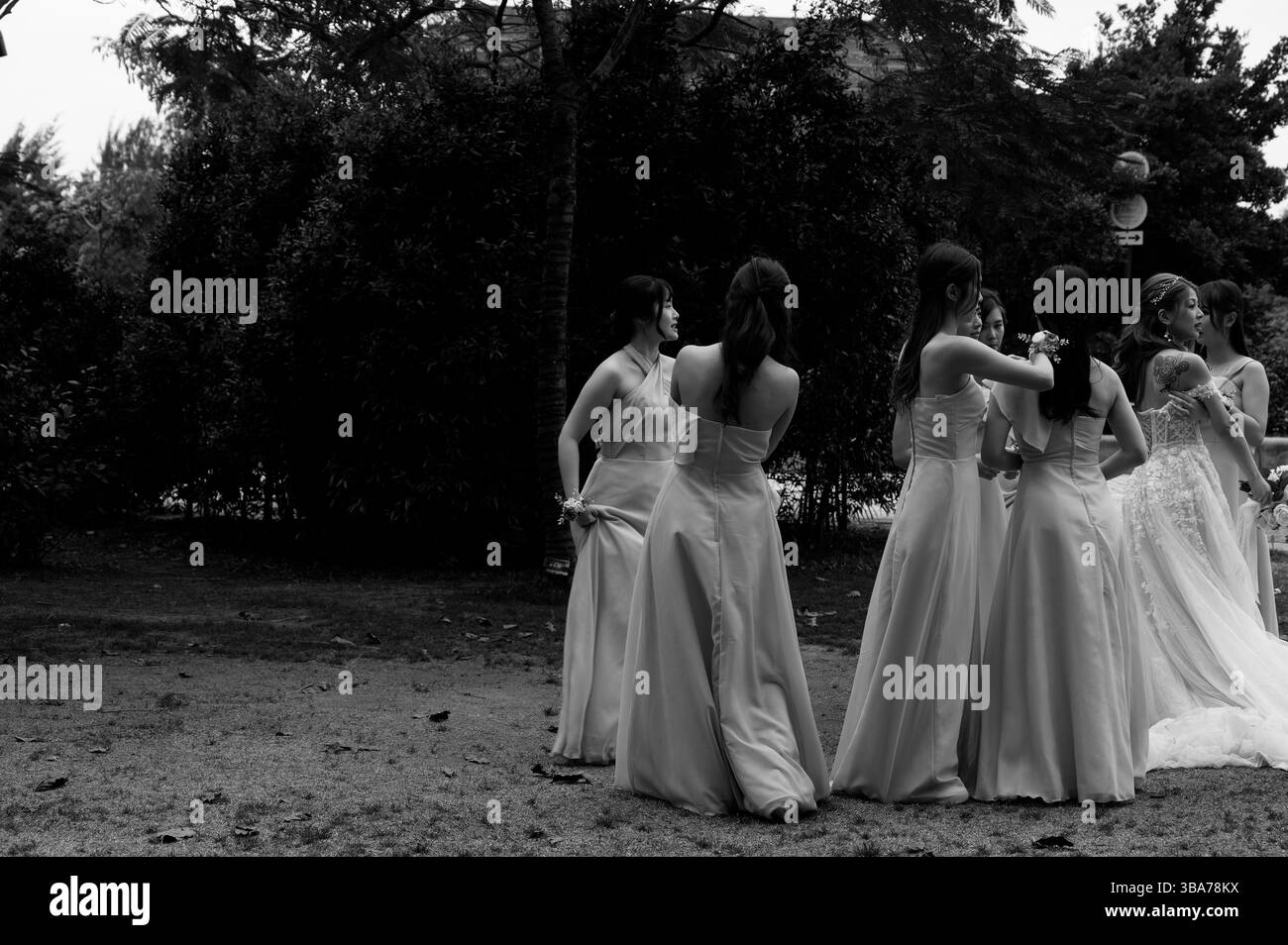 Le damigelle d'onore con abiti fluenti circondano la sposa in un momento tranquillo al West Kowloon Art Park Foto Stock