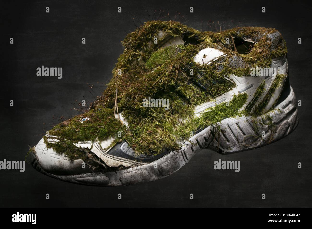Vecchie scarpe da ginnastica ricoperte di muschio. Scarpe realizzate con materiali naturali Foto Stock