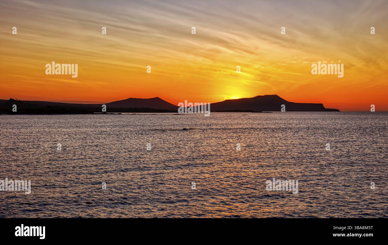 Baia, Cormorant Point, Galapagos, Ecuador, Sud America Foto Stock