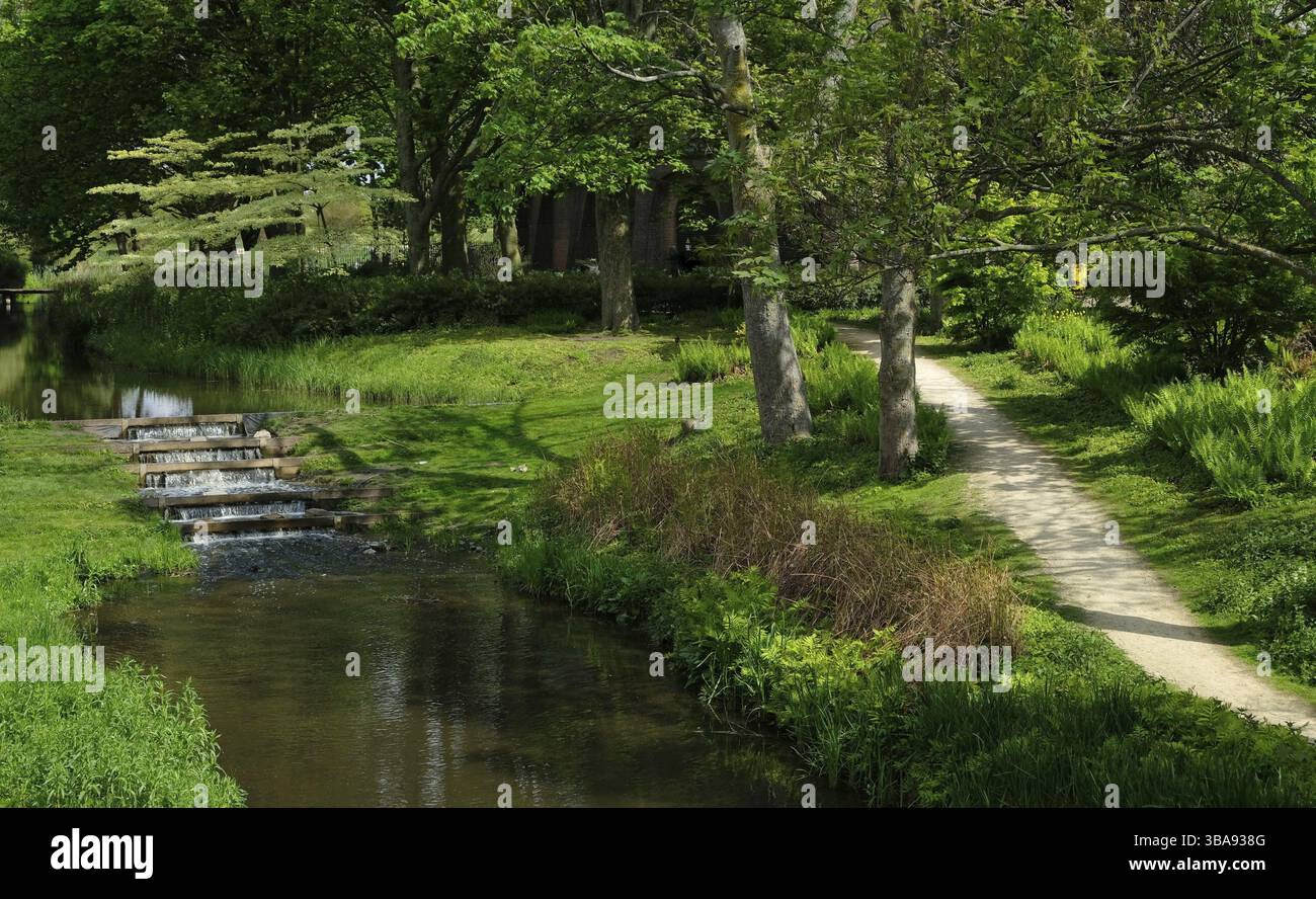 Parco con alberi verdi con acqua e sentiero a Duiksehoef, Kaatsheuvel, Paesi Bassi, Kaatsheuvel, Nederland Foto Stock