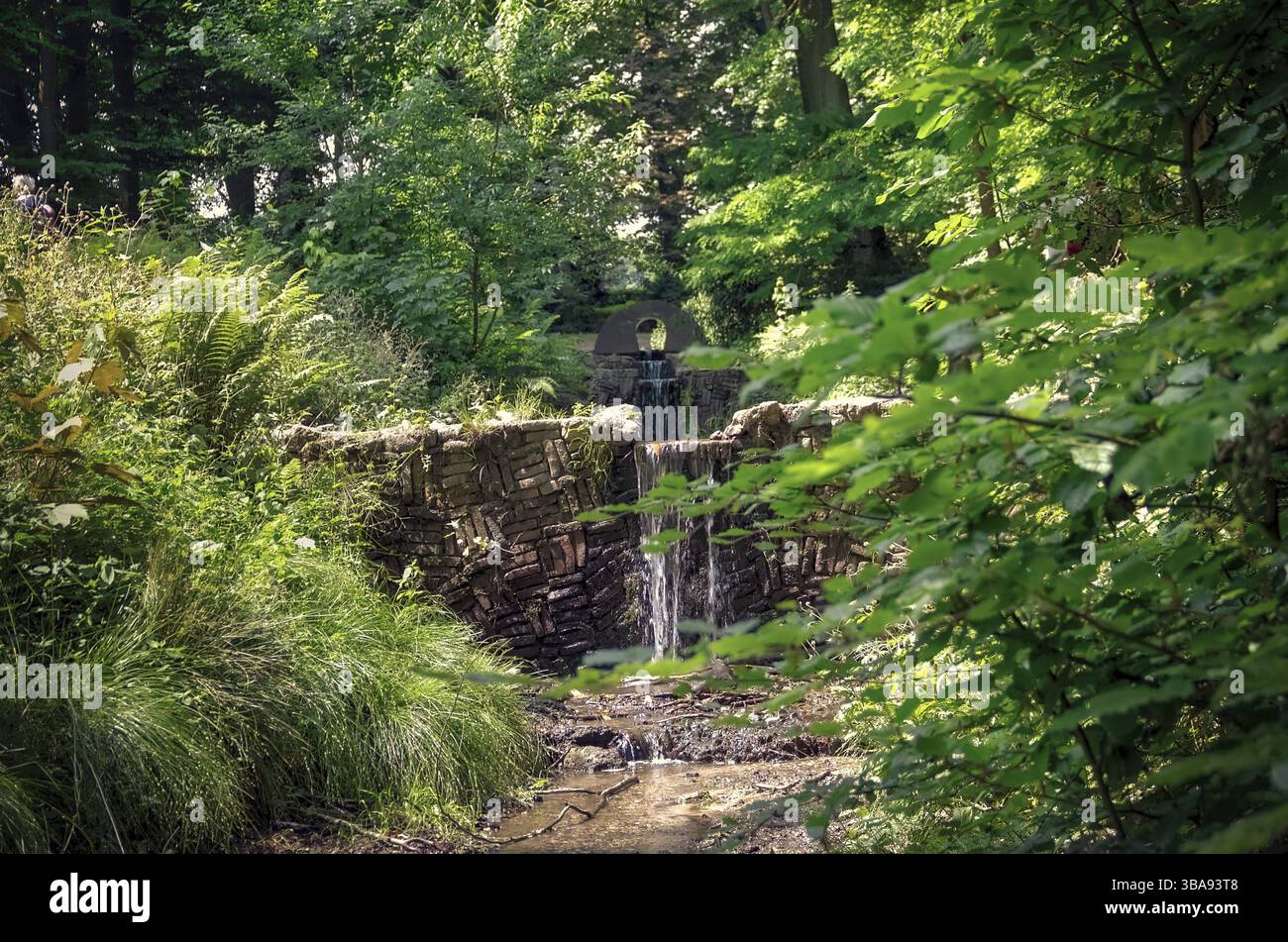 Natura olandese su una soleggiata giornata estiva Foto Stock
