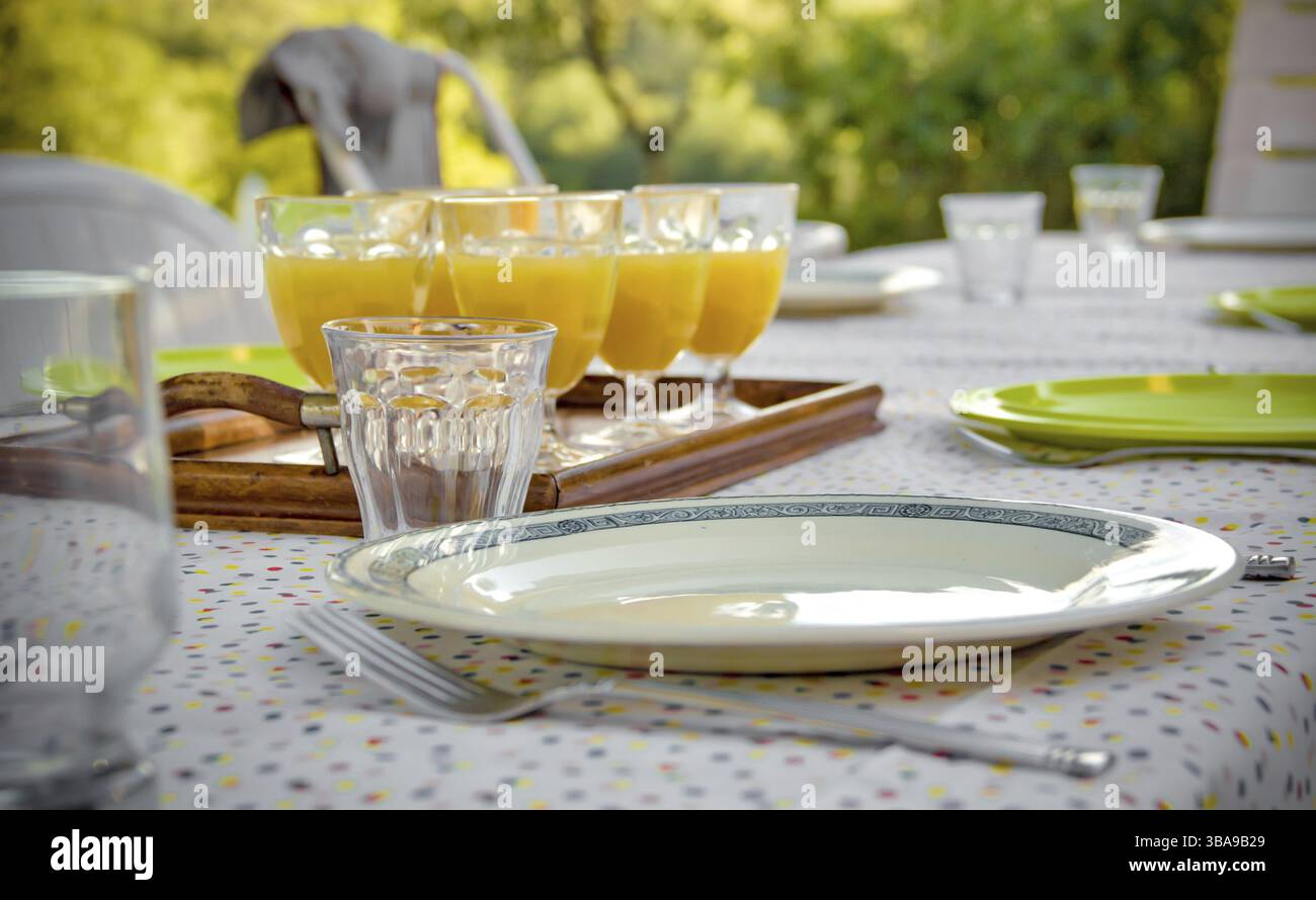Il cibo è delizioso su una piastra in Francia Foto Stock