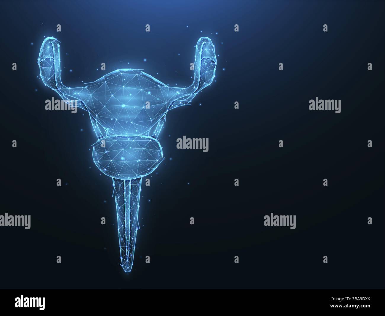 Illustrazione vettoriale astratta dell'utero poligonale su sfondo blu scuro. Organo riproduttivo femminile a basso contenuto di poli. Banner medico, modello o backgrou Foto Stock
