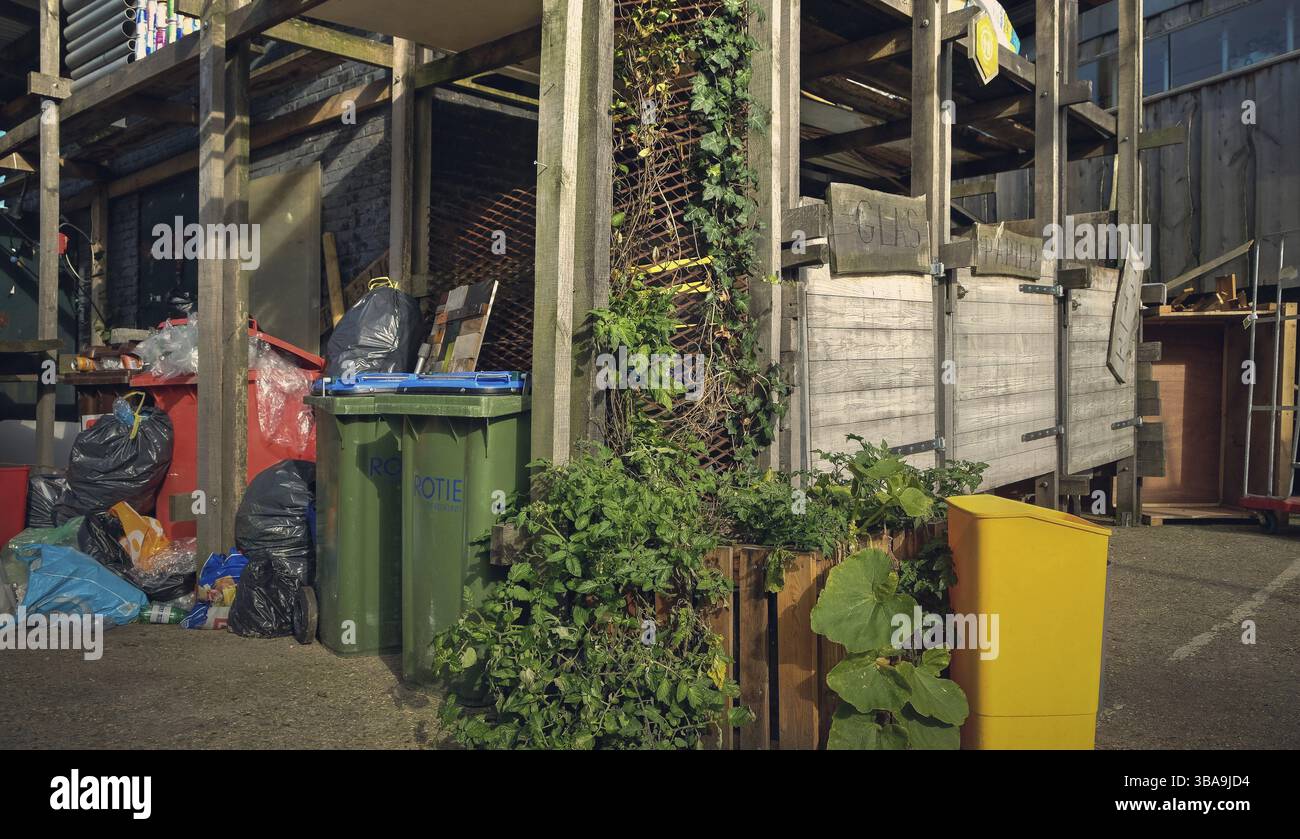 Ristorante The Ceuvel ad Amsterdam Nord, Paesi Bassi, Europa Foto Stock