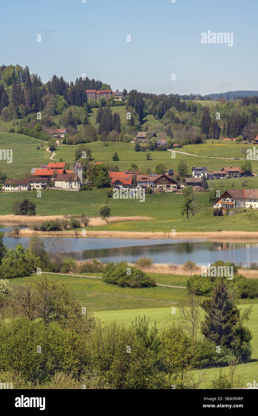 Memhoelz con prati primaverili e foresta mista presso il lago Niedersonthofen, Allgaeu, Svevia, Baviera, Germania, Europa Foto Stock
