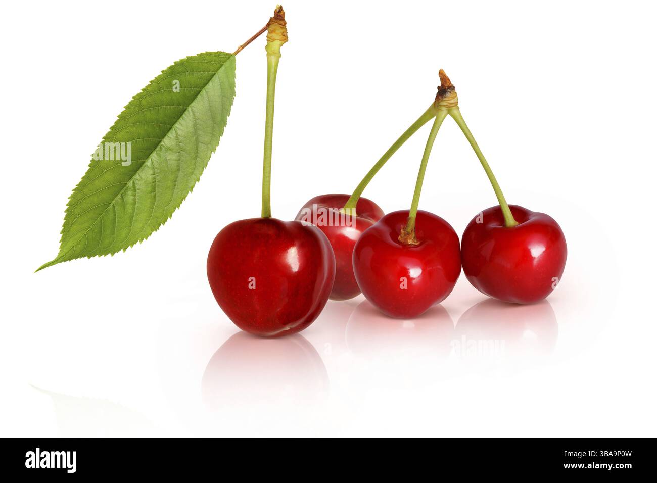 Frutta 696 Foto Stock