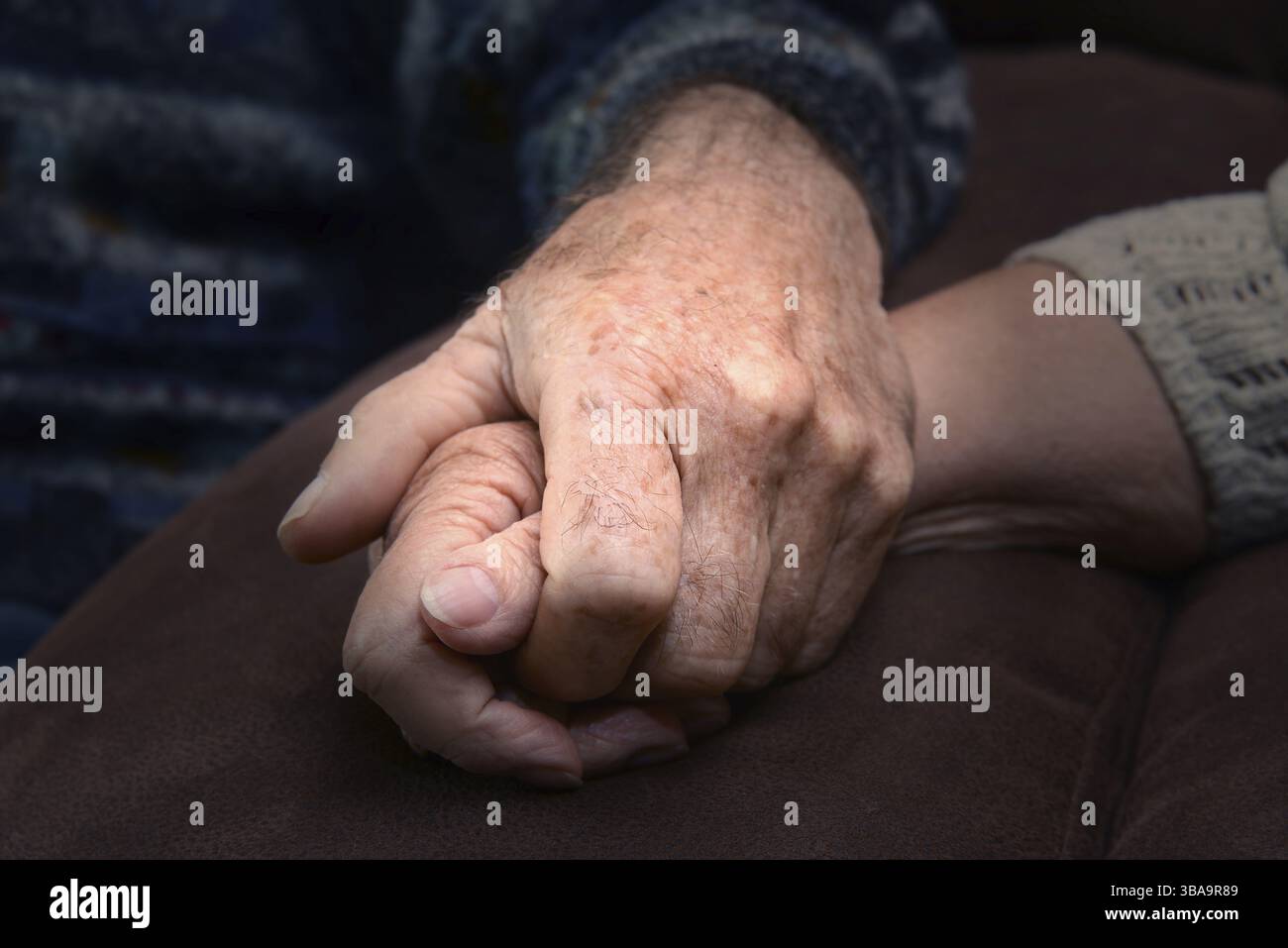 Seniors 337 Foto Stock