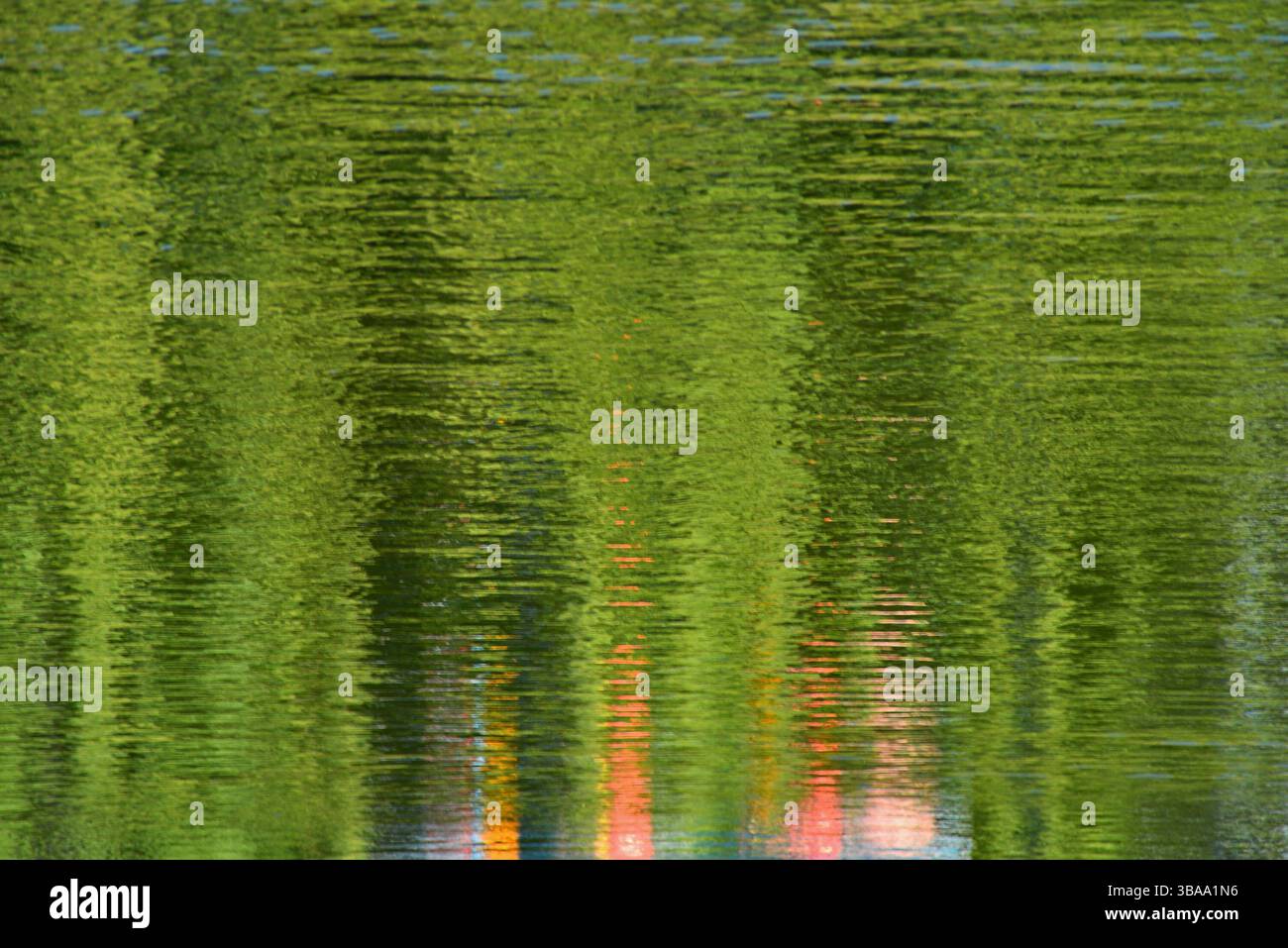 Riflessi distorti di un giardino dal movimento dell'acqua Foto Stock