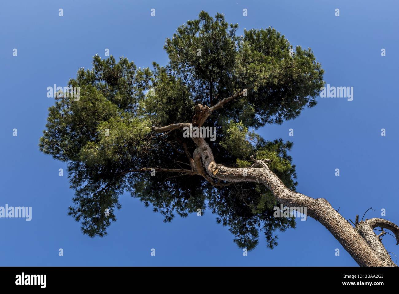 Manfredonia, città portuale mediterranea della Puglia. La Penisola del Gargano, parte del suo territorio, è il Parco Nazionale del Gargano Foto Stock