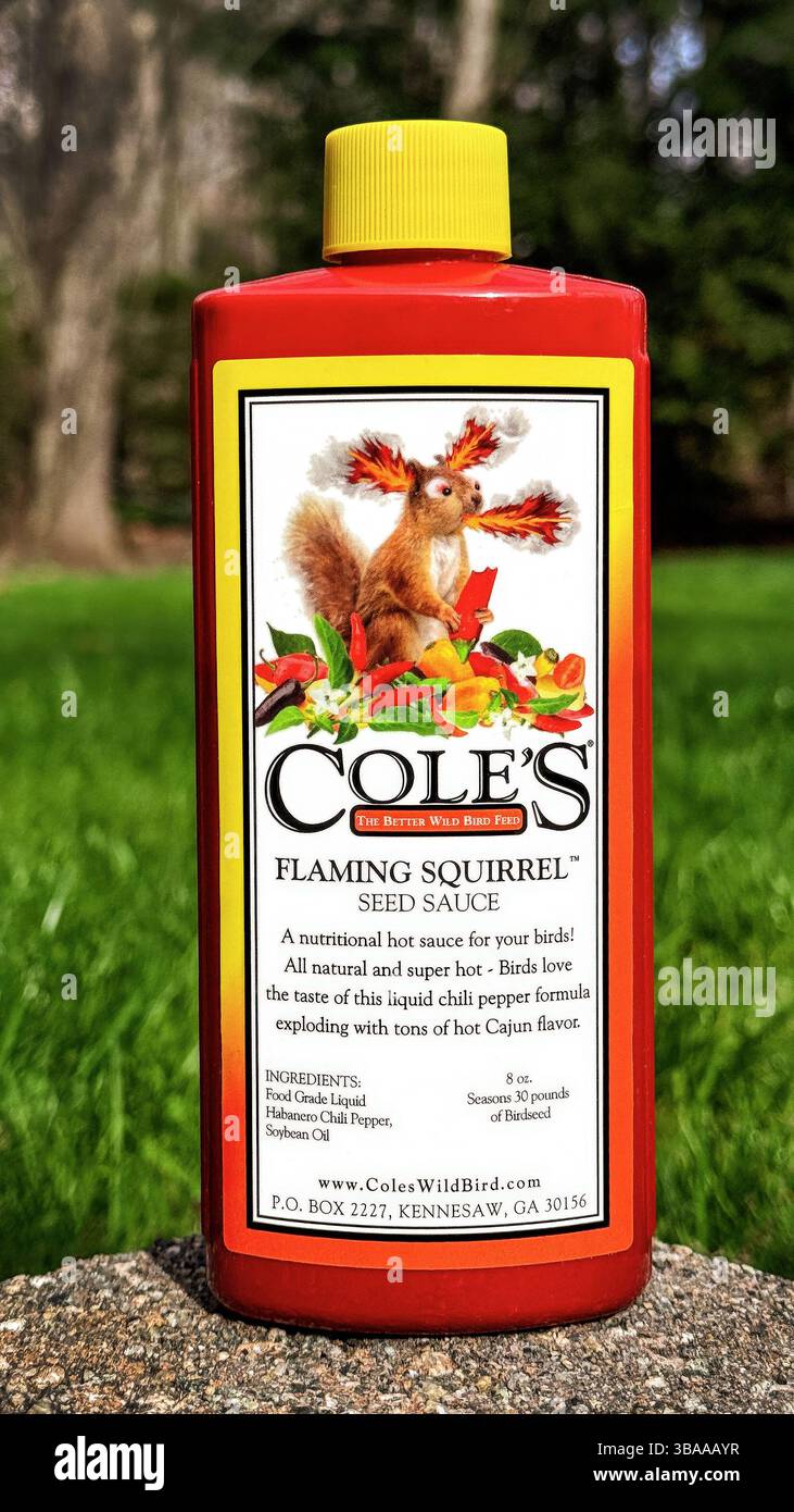 Cole's Flaming Squirrel Seed Sauce. Lo scoiattolo si mescola con i semi di uccelli. Respinge gli scoiattoli dai mangiatoie per uccelli. Gli uccelli rimangono attratti dai semi di uccelli. Foto Stock