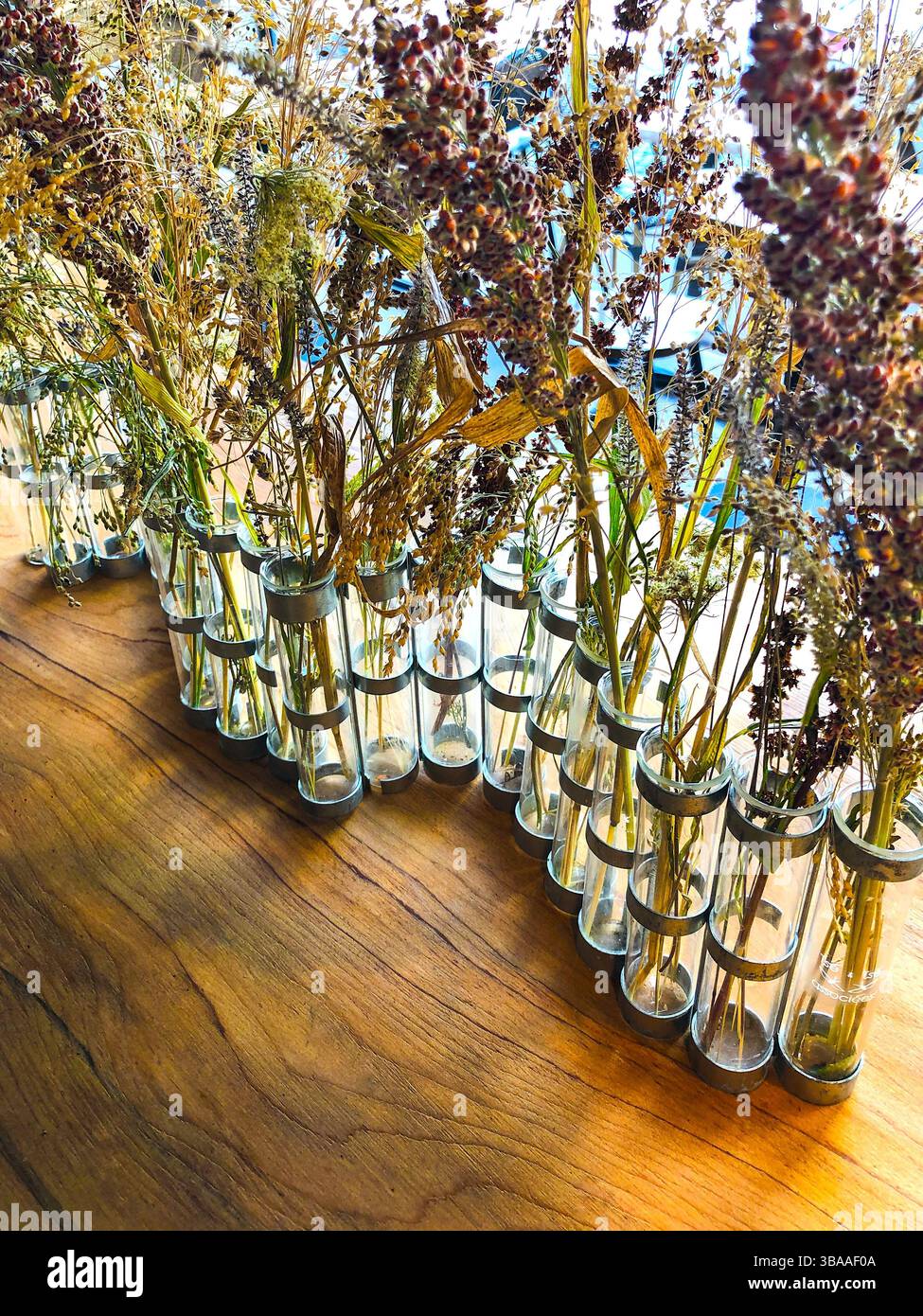 Fila di vasi di vetro pieni di erbe, fiori e erbe essiccate, esposti nella vetrina del ristorante - Tours, Indre-et-Loire (37), Francia. Foto Stock