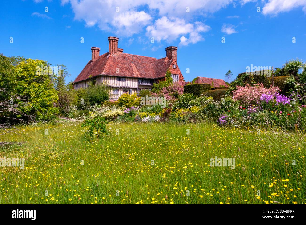 Prato di erba selvatica a Great Dixter, East Sussex, Regno Unito Foto Stock