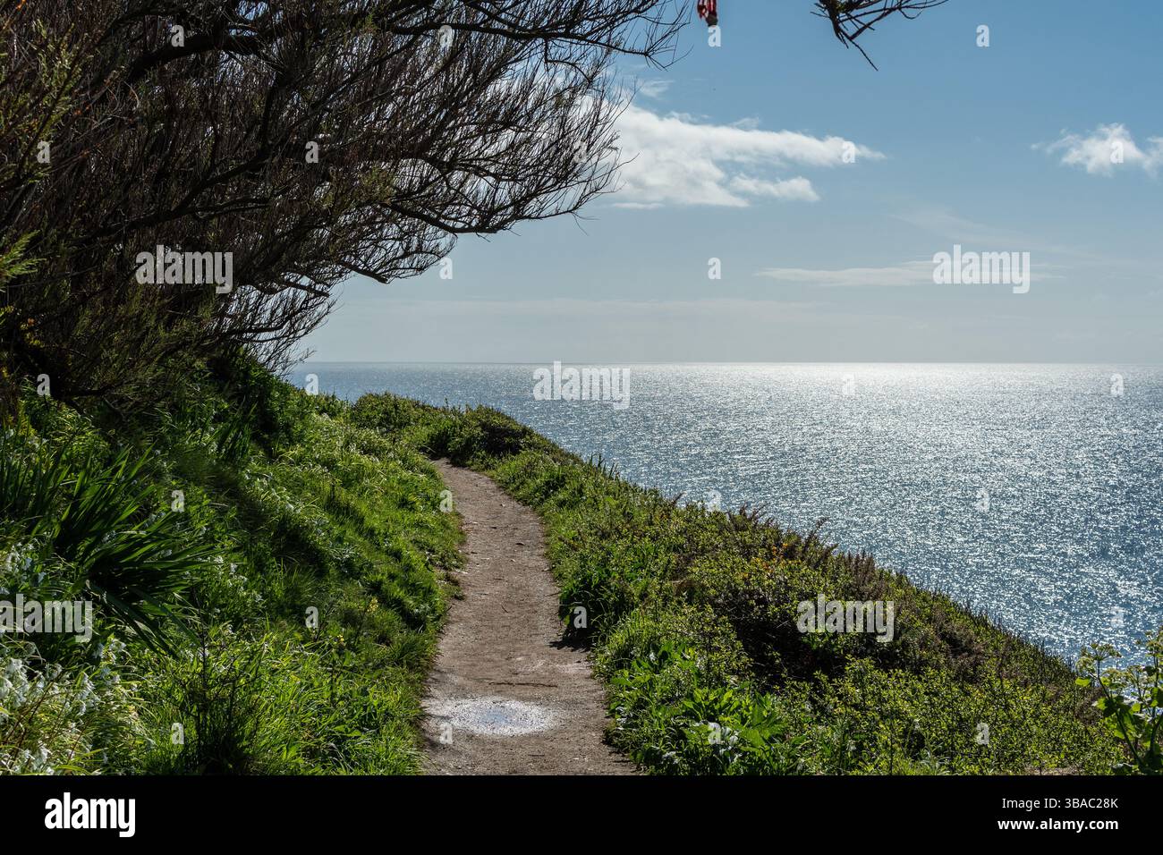 Il sentiero della costa sud-occidentale della Cornovaglia che conduce al faro di Lizard da Lizard Point Foto Stock