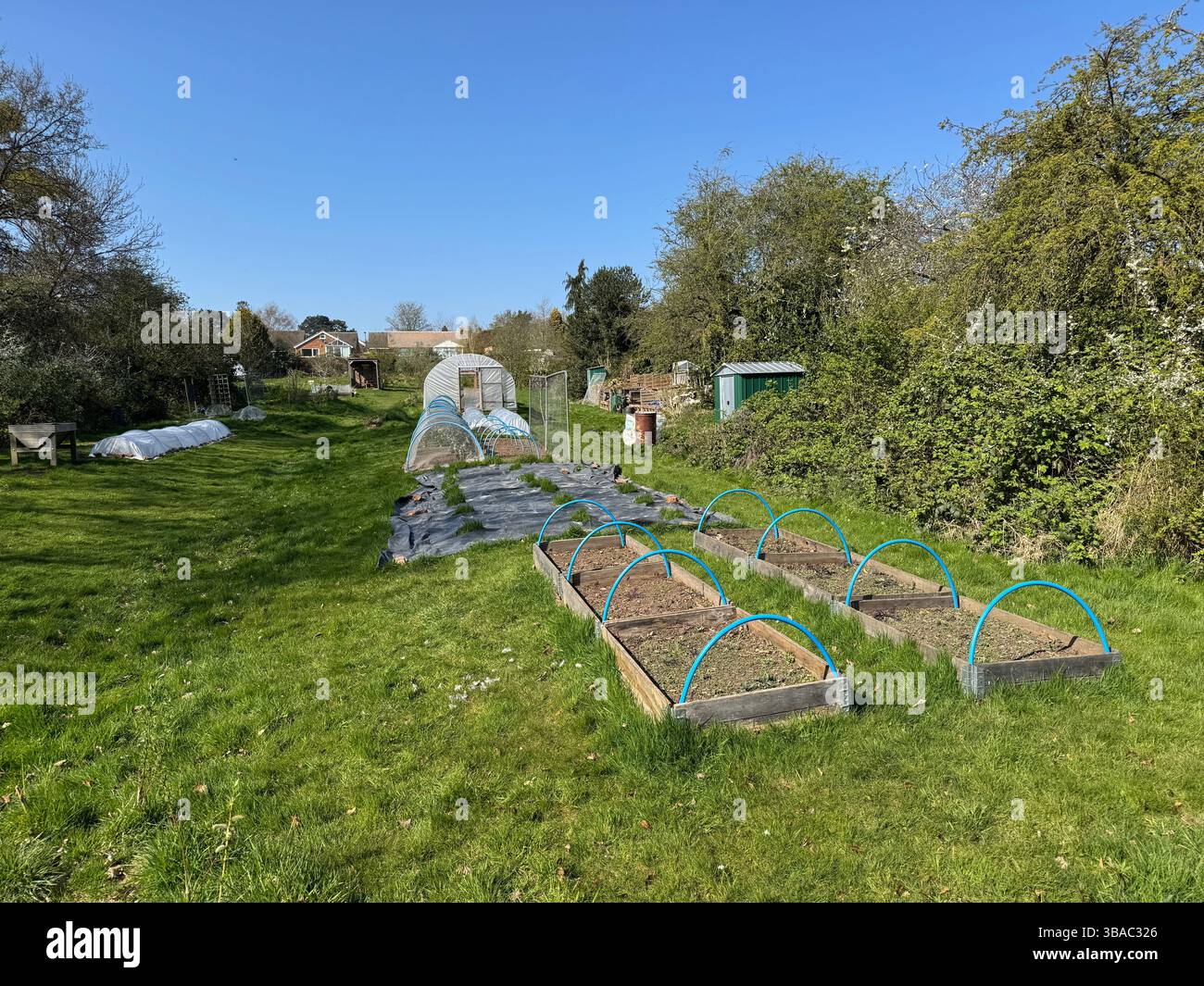 Dettagli del giardino in Hannah Field Community Garden. Foto Stock