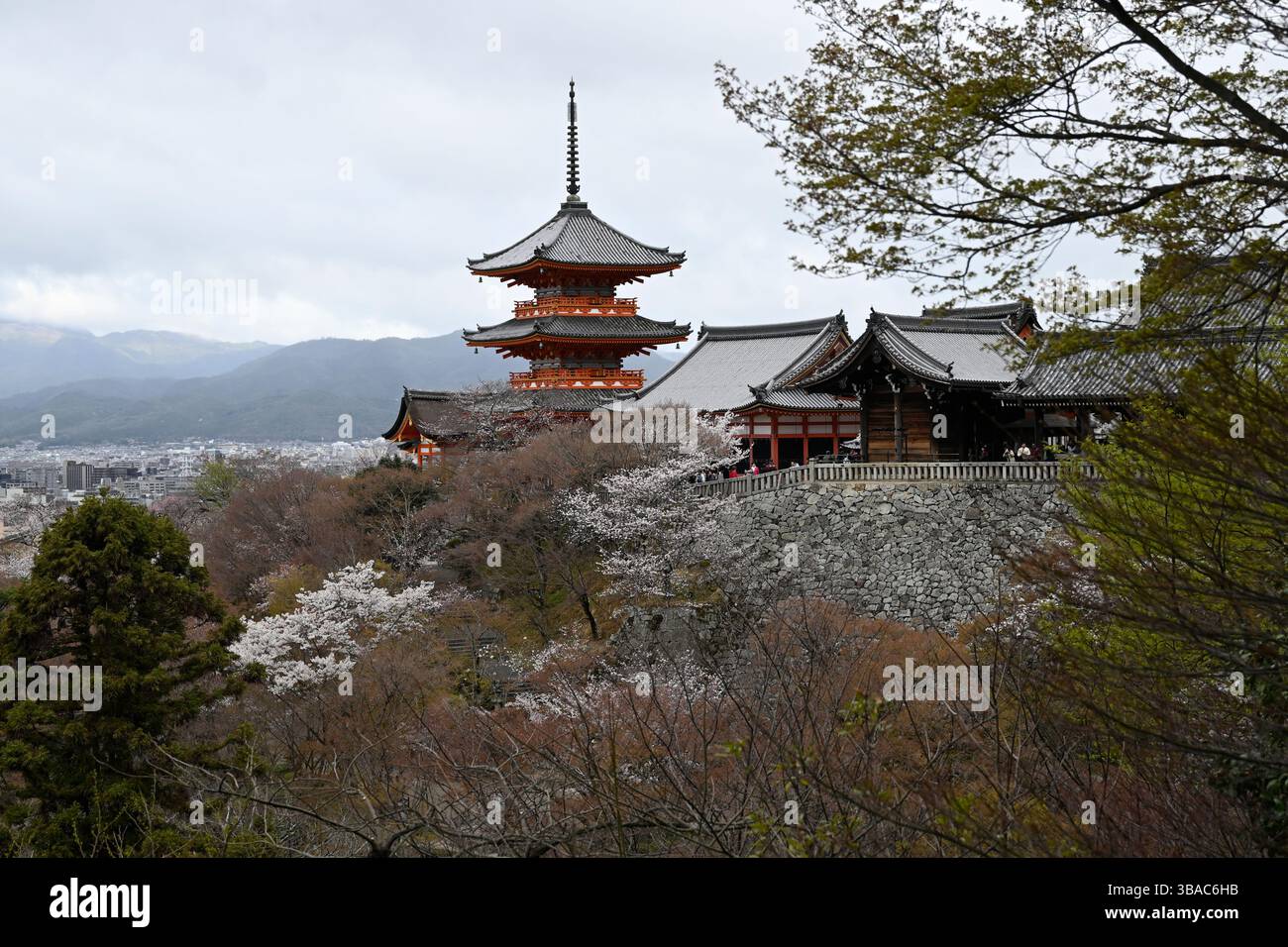 Tempio buddista Kiyomizu-dera e Pagoda a tre piani Sanjunoto con fiori di ciliegio, Kyoto, isola di Honshu, Giappone. Foto Stock