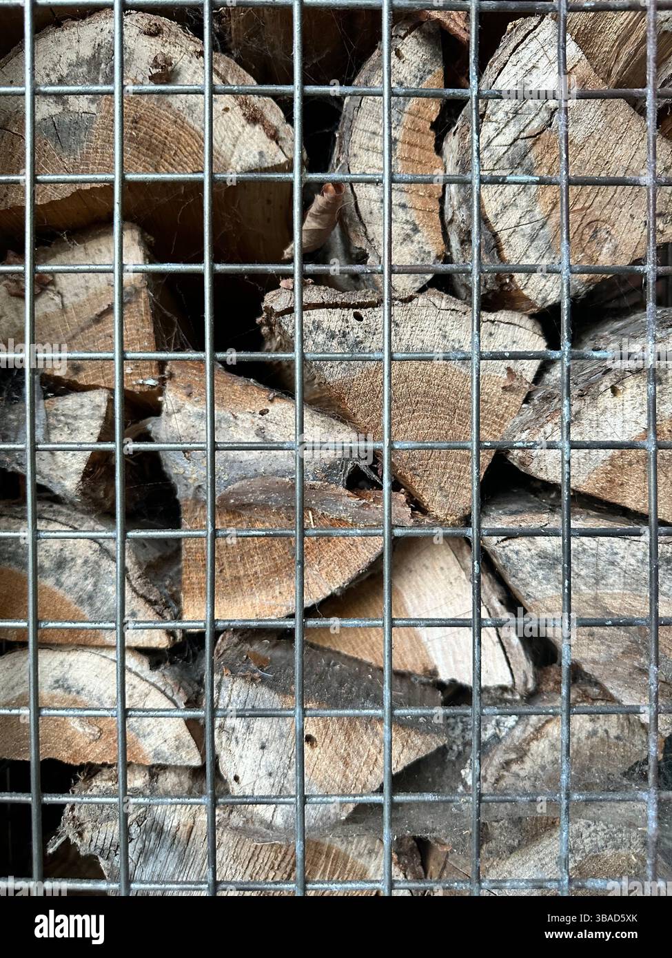 Tronchi di legno tritati impilati in una gabbia metallica d'argento, che mostra gli anelli degli alberi e le trame ruvide della corteccia, ideale per disegni di sfondo o a tema naturale. - Immagine stock catturata con smartphone