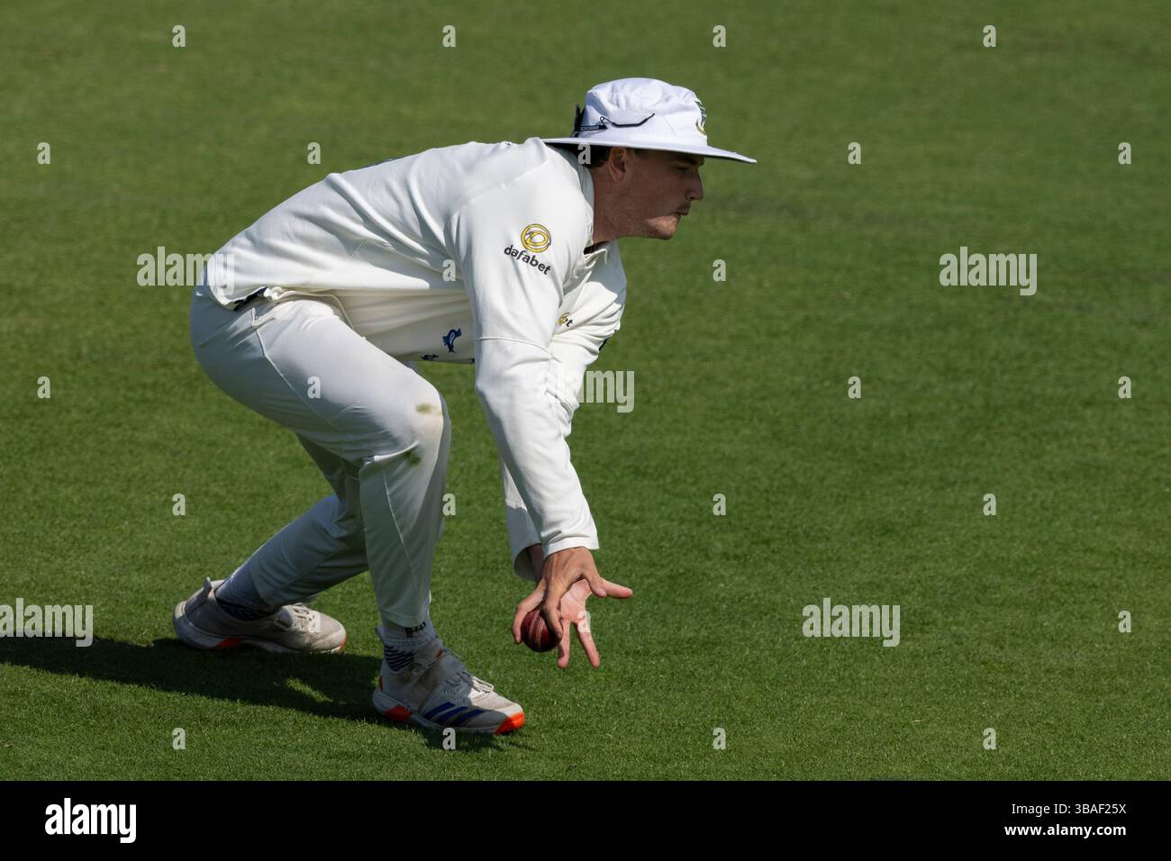 Sussex contro Worcestershire - Rothesay County Championship HOVE, INGHILTERRA - 12 MAGGIO: James Coles del Sussex cade cattura durante Sussex contro Worcestershire a T Foto Stock