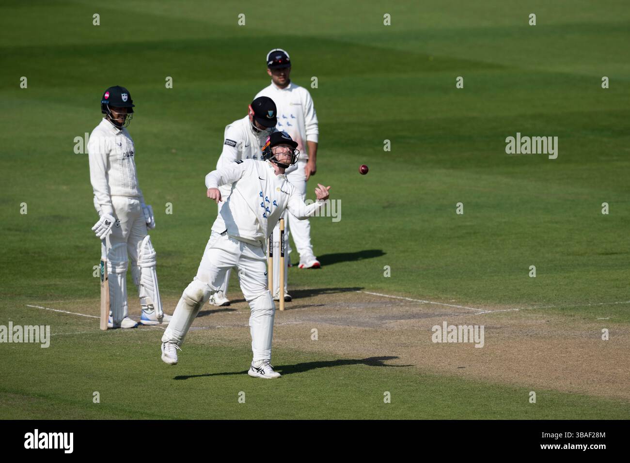 Sussex contro Worcestershire - Rothesay County Championship HOVE, INGHILTERRA - 12 MAGGIO: Tom Alsop del Sussex in azione, durante Sussex contro Worcestershire al 1 Foto Stock