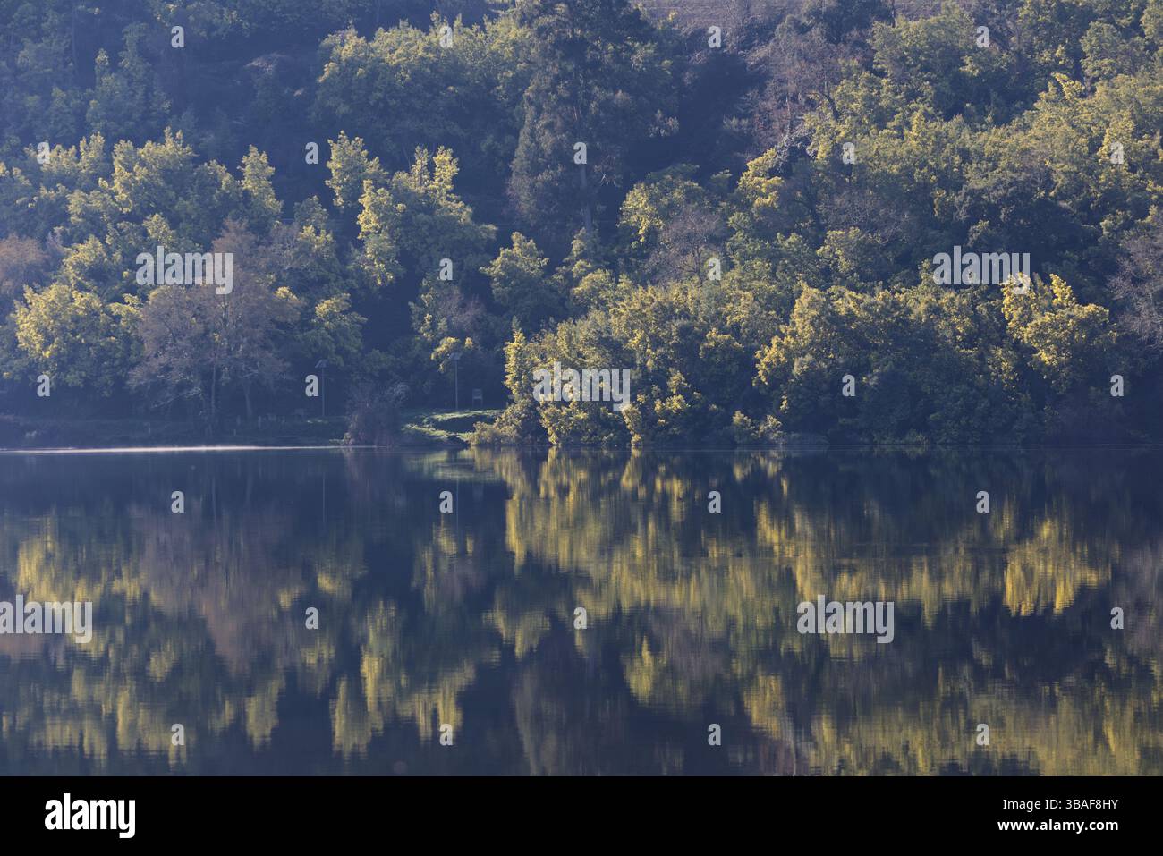 La riva opposta del fiume si rispecchiava perfettamente sulle acque calme, dove gli alberi si fermano nella quiete riflesso della natura. Foto Stock