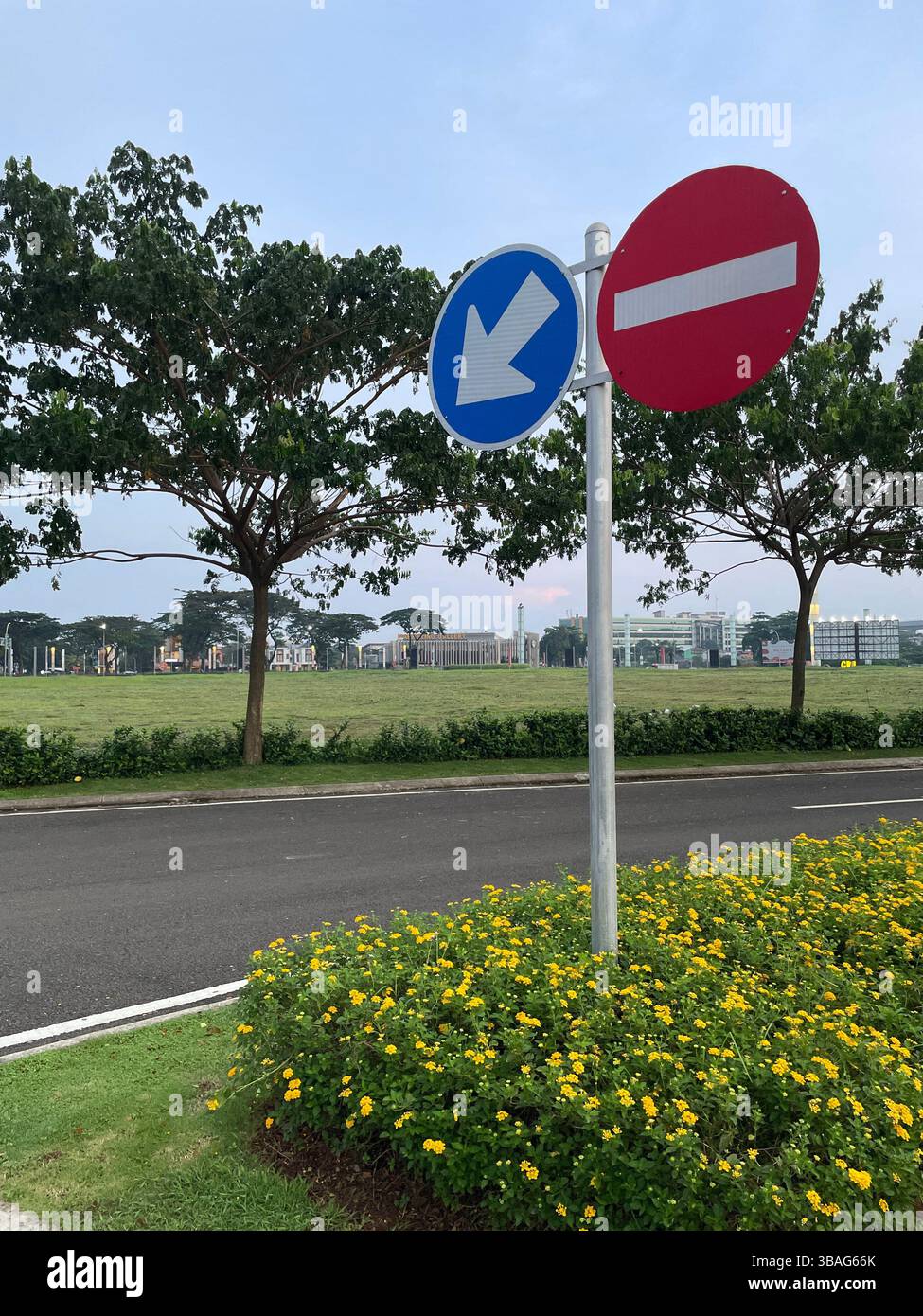 Un paio di segnali stradali che indicano "Mantieni la sinistra" (freccia blu) e "nessun ingresso" (cerchio rosso con barra bianca) su una strada asfaltata pulita in Indonesia. - Immagine stock catturata con smartphone