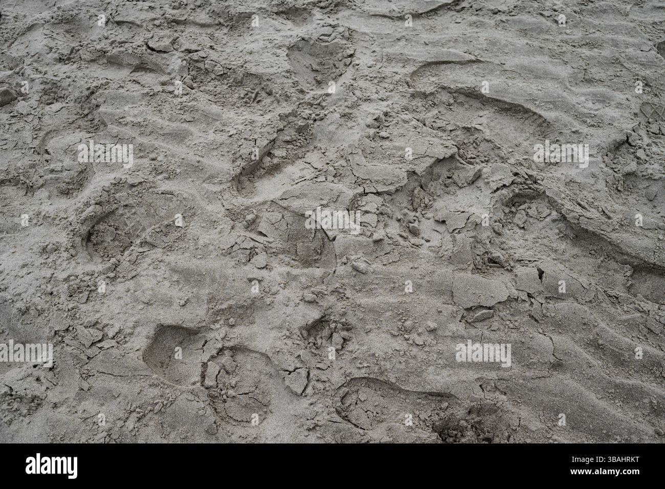 Impronte profonde nella sabbia su una spiaggia Foto Stock