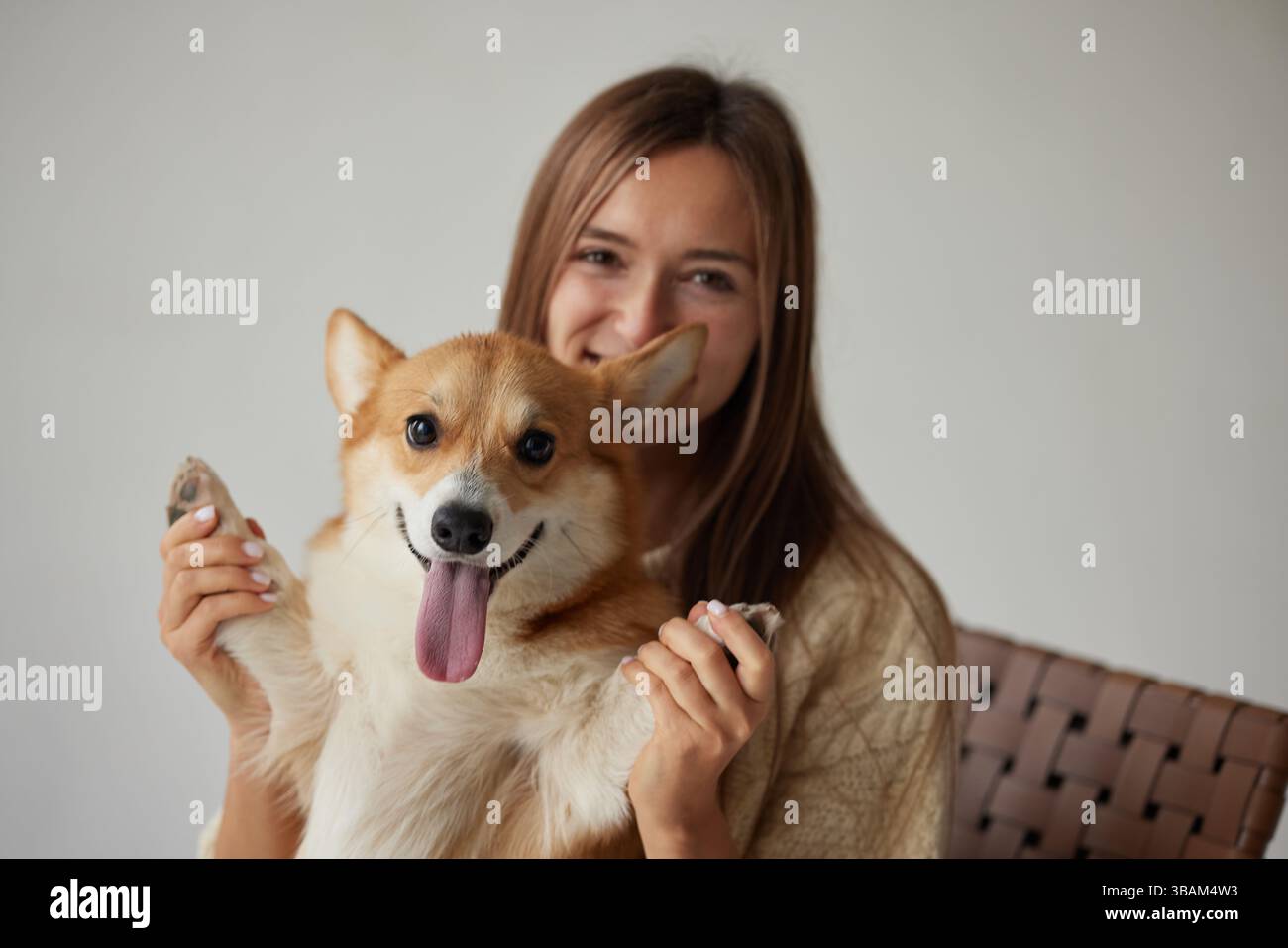 Donna allegra che tiene in mano un cane Corgi felice che solleva le zampe, gioioso momento di amicizia, atmosfera familiare, sfondo neutrale. Foto Stock
