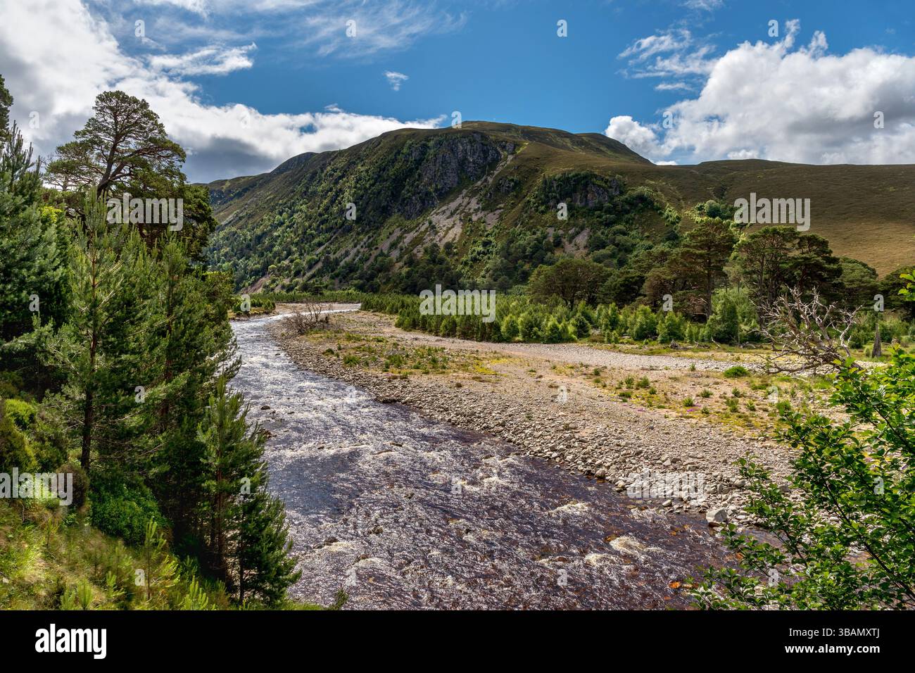 Glen Feshie; Cairngorms; Scozia; Regno Unito Foto Stock