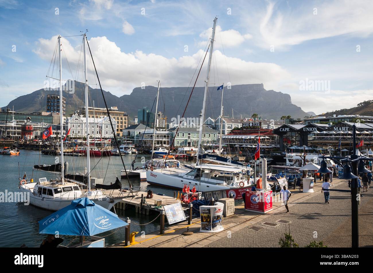 Yacht e barche a vela legati al V&A Waterfront di città del Capo in Sudafrica con Table Mountain sullo sfondo. Foto Stock