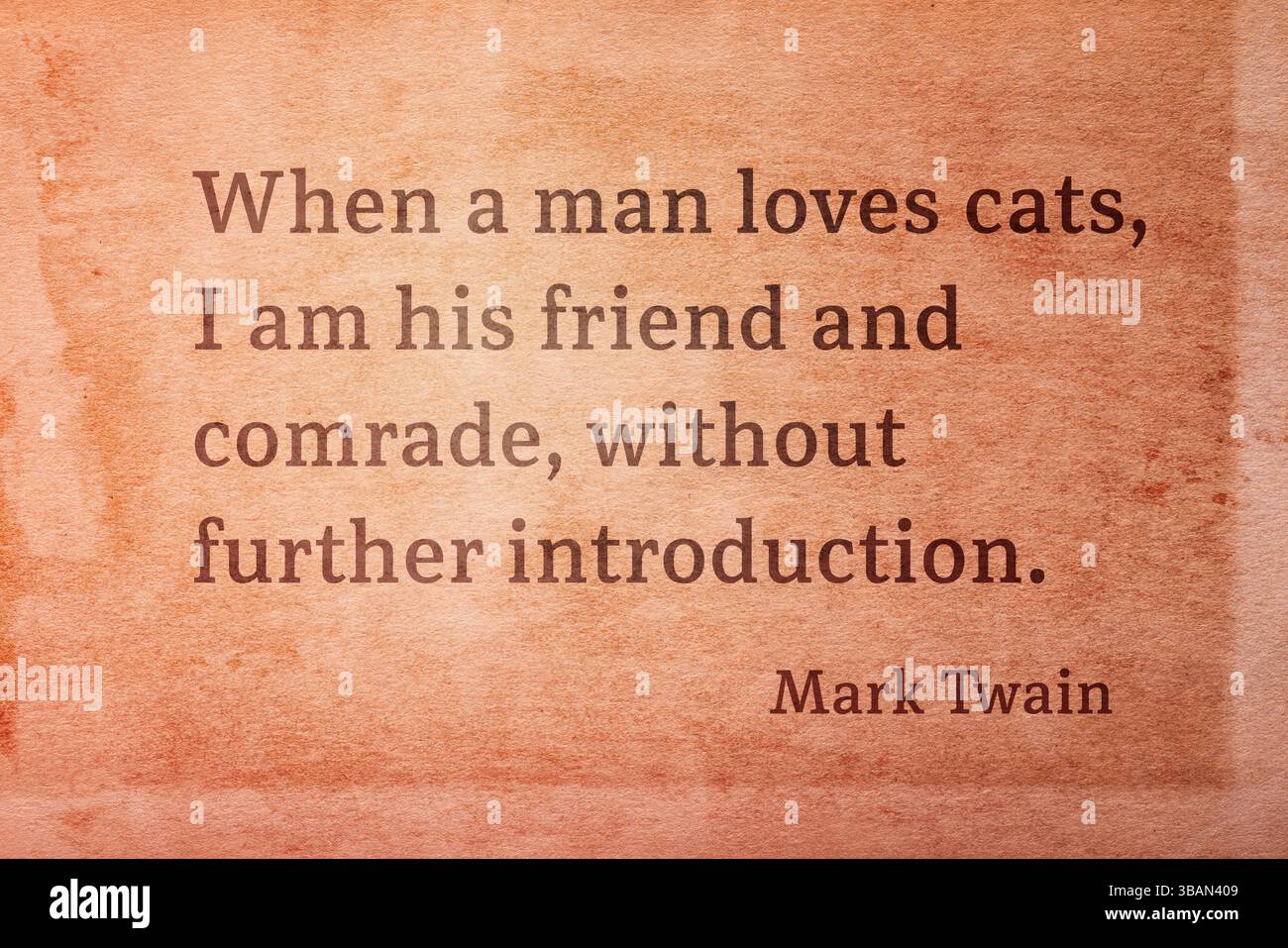 Quando un uomo ama i gatti, io sono suo amico e compagno, senza ulteriori presentazioni - il famoso scrittore americano Mark Twain citazione stampata su vintage grunge p Foto Stock