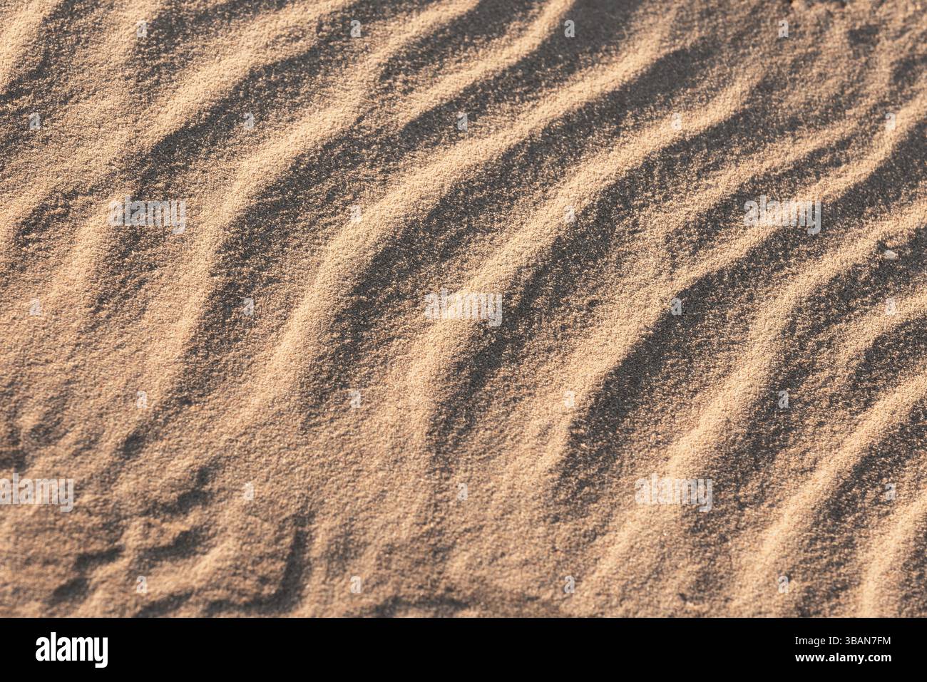 Texture foto di sfondo naturale. Struttura di sabbia ondulata creata dal vento, vista dall'alto Foto Stock