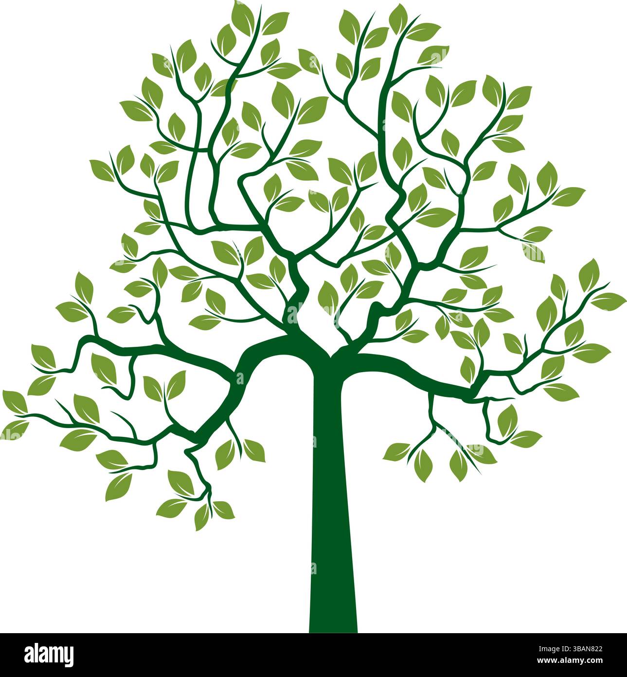 Figura dell'albero verde con illustrazione del profilo vettoriale delle lamelle. Impianto in giardino. Illustrazione Vettoriale