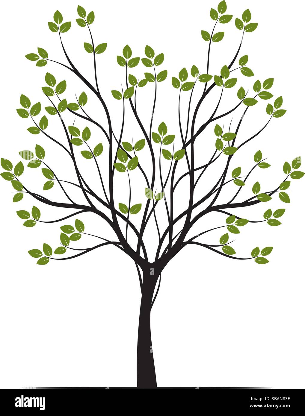 Forma dell'albero verde con foglie. Illustrazione del profilo vettoriale. Impianto in giardino. Illustrazione Vettoriale