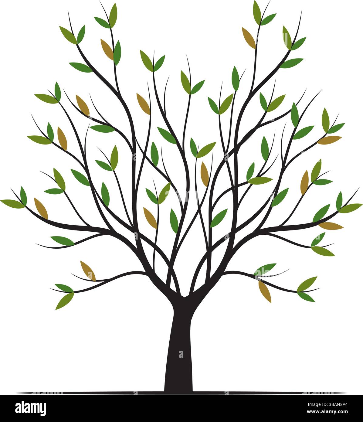 Albero vettoriale verde con radici isolate. Illustrazione Vettoriale