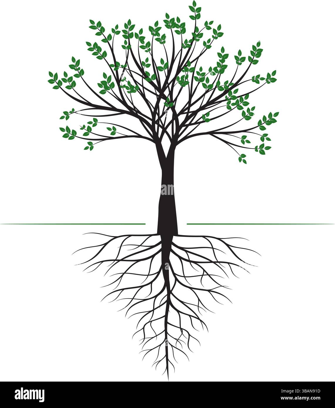 Forma di albero verde con foglie e radici. Illustrazione del profilo vettoriale. Impianto in giardino. Illustrazione Vettoriale