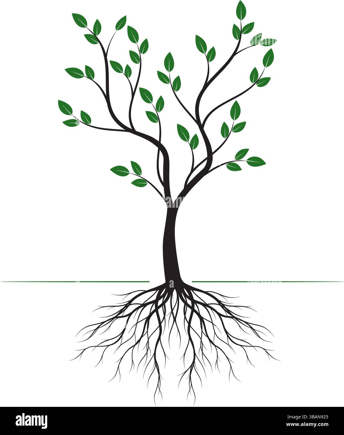 Forma di albero verde con foglie e radici. Illustrazione del profilo vettoriale. Impianto in giardino. Illustrazione Vettoriale