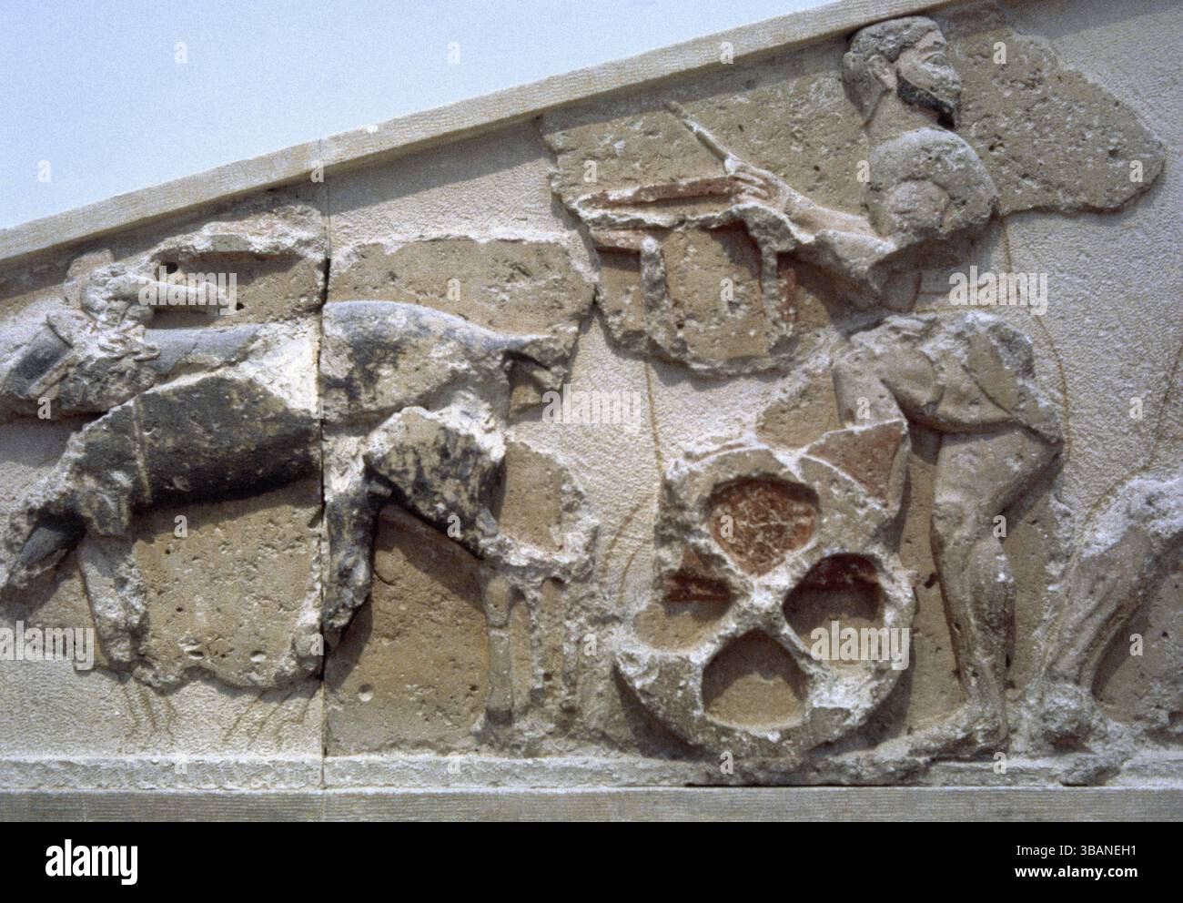 Hydra Pediment. Dettaglio raffigurante Iolaos, l'auriga di Herakles, alla guida del suo carro. Calcare. Datato 600 a.C. Al 580 a.C. Da un edificio sconosciuto sull'Acropoli di Atene. Museo dell'Acropoli. Atene. Grecia. Foto Stock