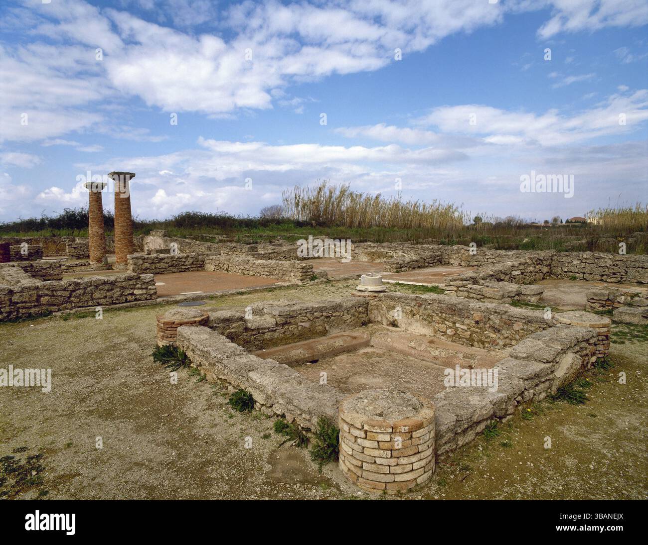 Magna Grecia. Paestum. Vista generale dell'area archeologica appartenente all'antica città greca. Campania, Italia. Foto Stock