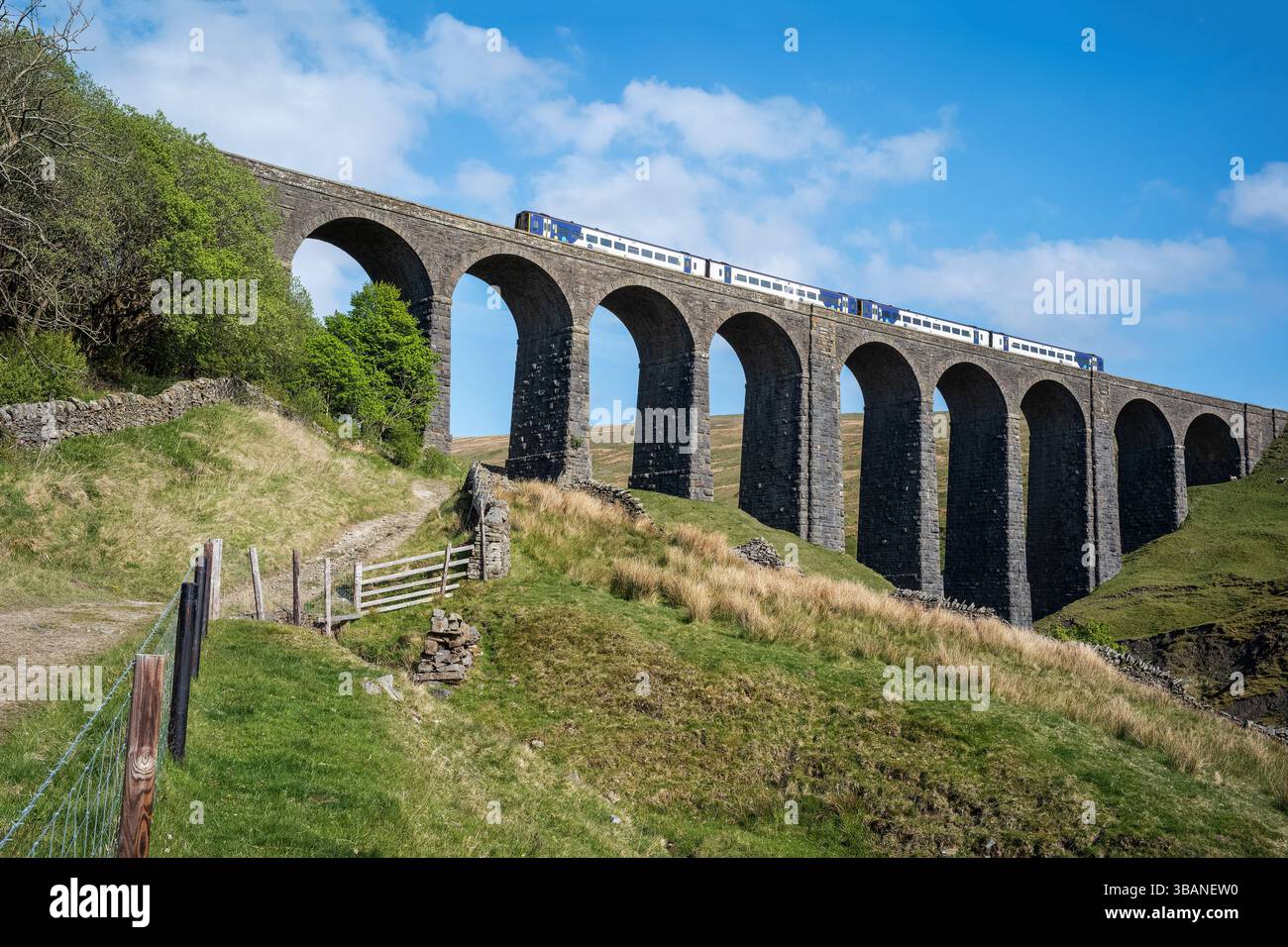 Un treno Northern Sprinter, da Leeds e Settle, che attraversa il viadotto Artengill a Dentdale, Westmorland & Furness, Cumbria, Regno Unito Foto Stock