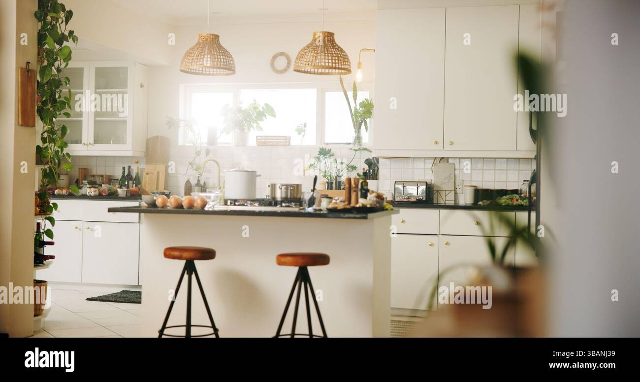 Casa, cucina e stile con piante per il design degli interni, immobiliare ed ecocompatibile con la luce del sole. Casa, arredi e decorazioni in appartamenti moderni Foto Stock